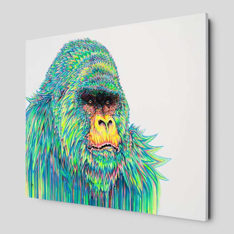 BOX ORI WWL 28387 2 Divinity