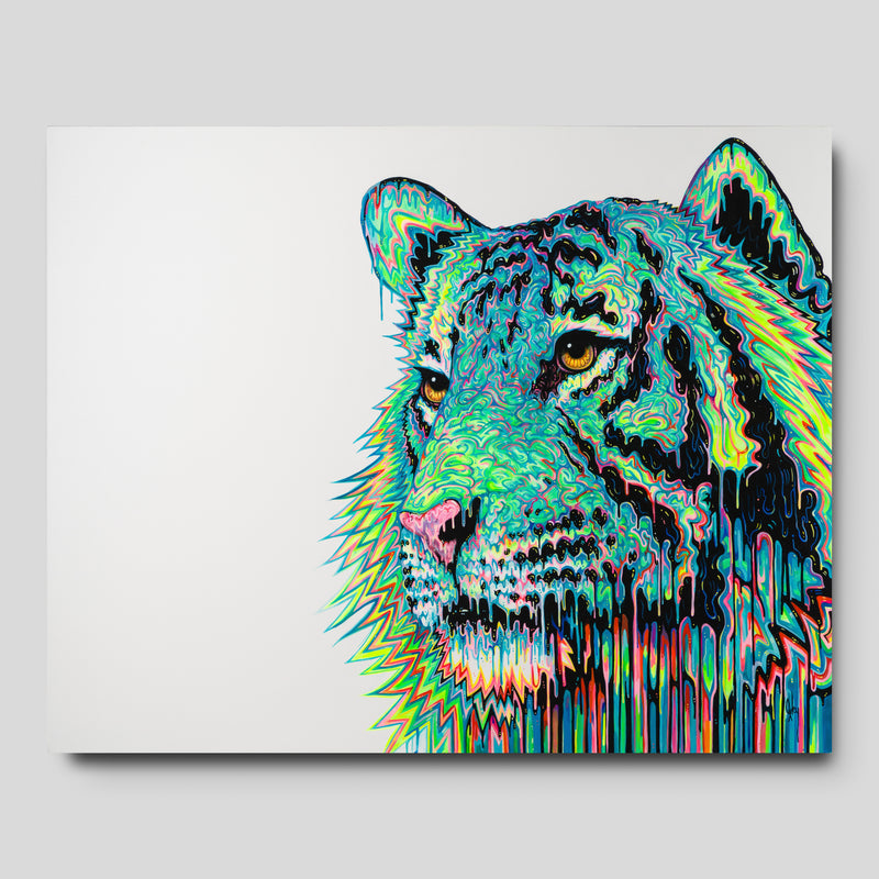 BOX ORI WWL 28389 1 Eternity