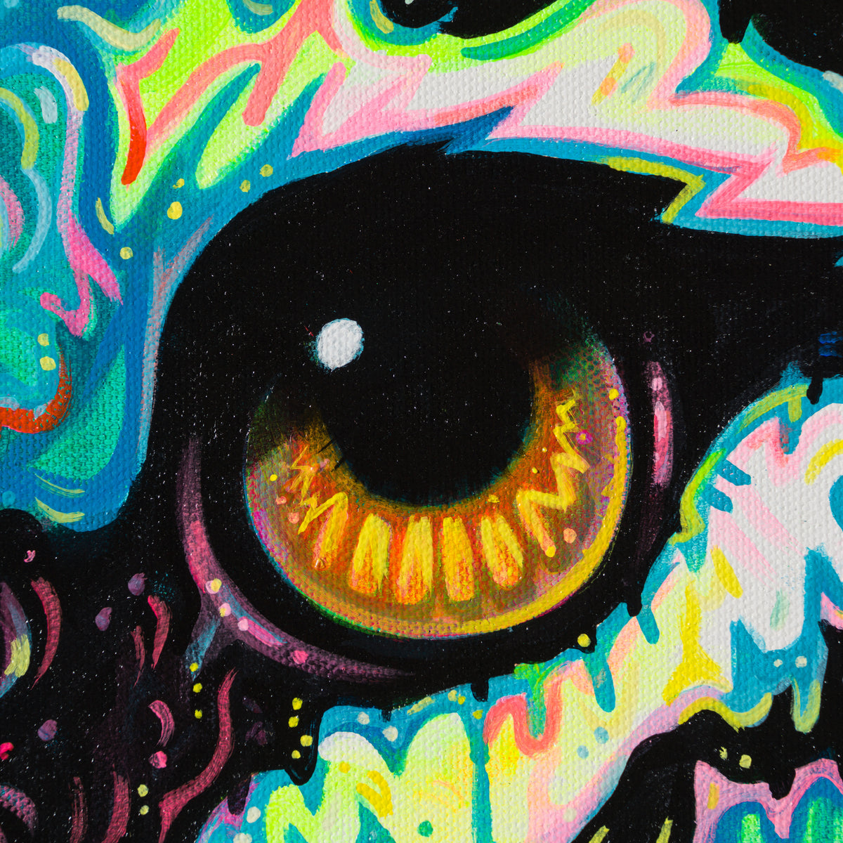 BOX ORI WWL 28389 4 Eternity