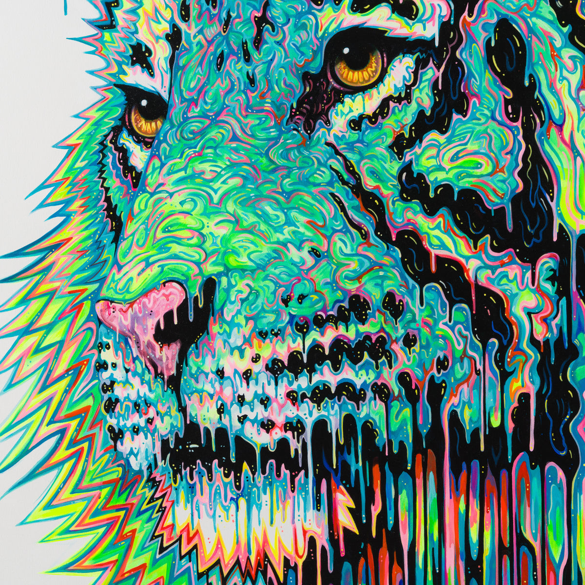 BOX ORI WWL 28389 6 Eternity