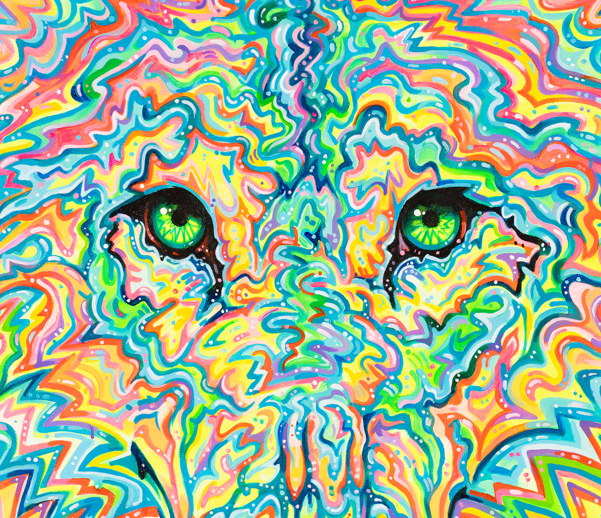 BOX ORI WWL 28549 6 Kainnu