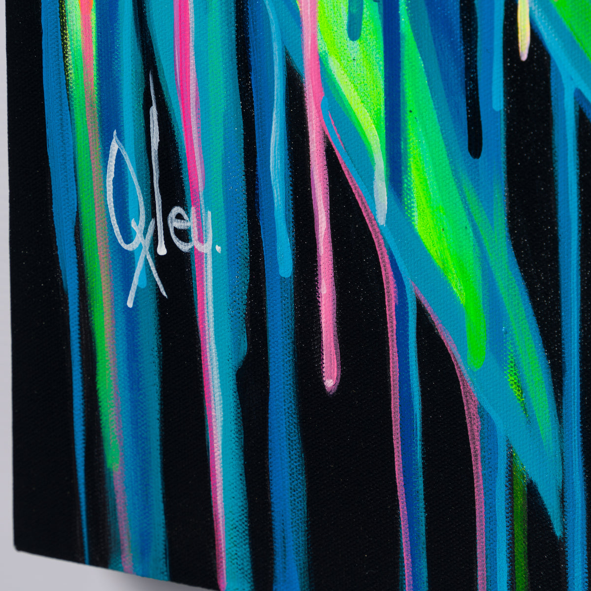 BOX ORI WWL 29348 3 Sanctum