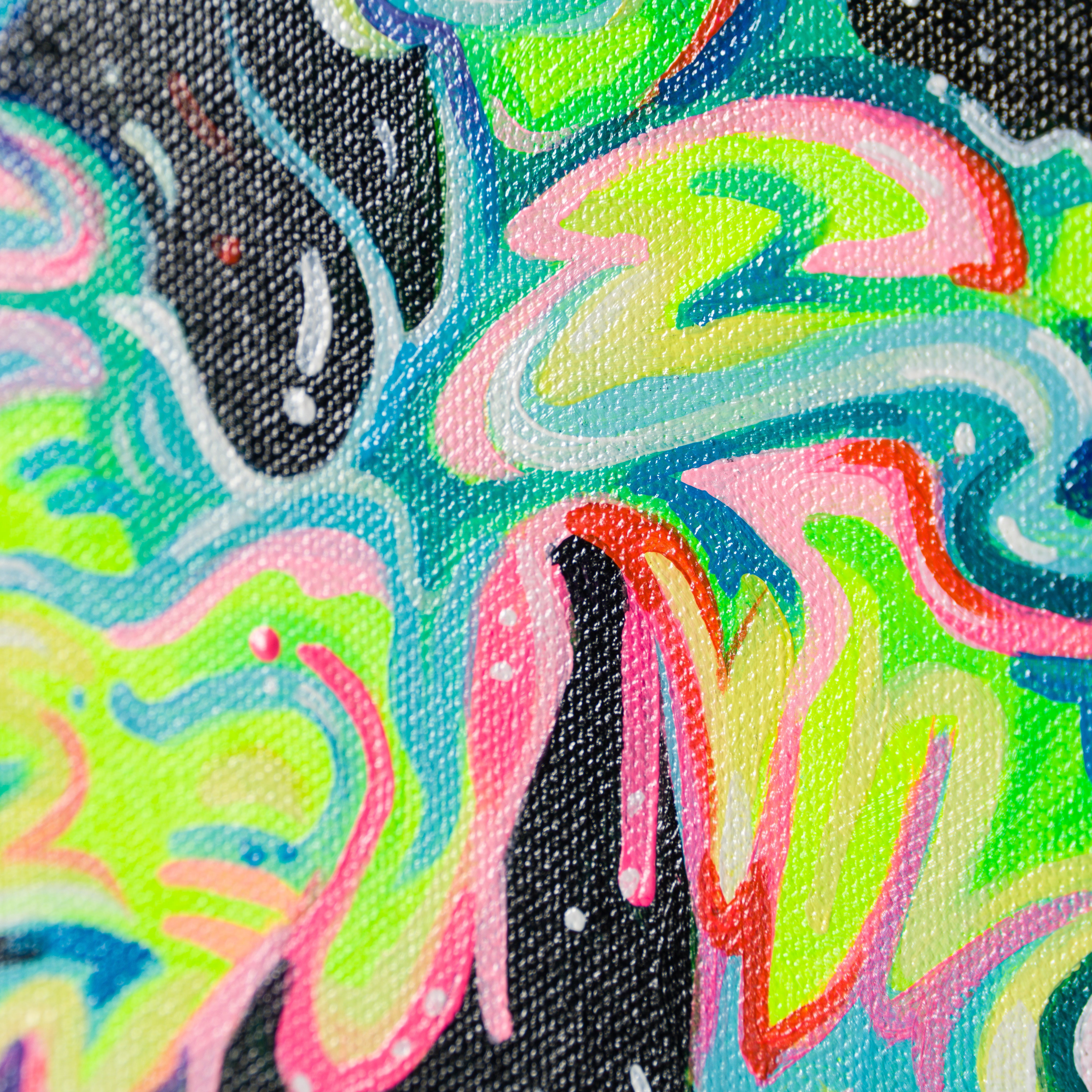 BOX ORI WWL 29349 6 Devotion