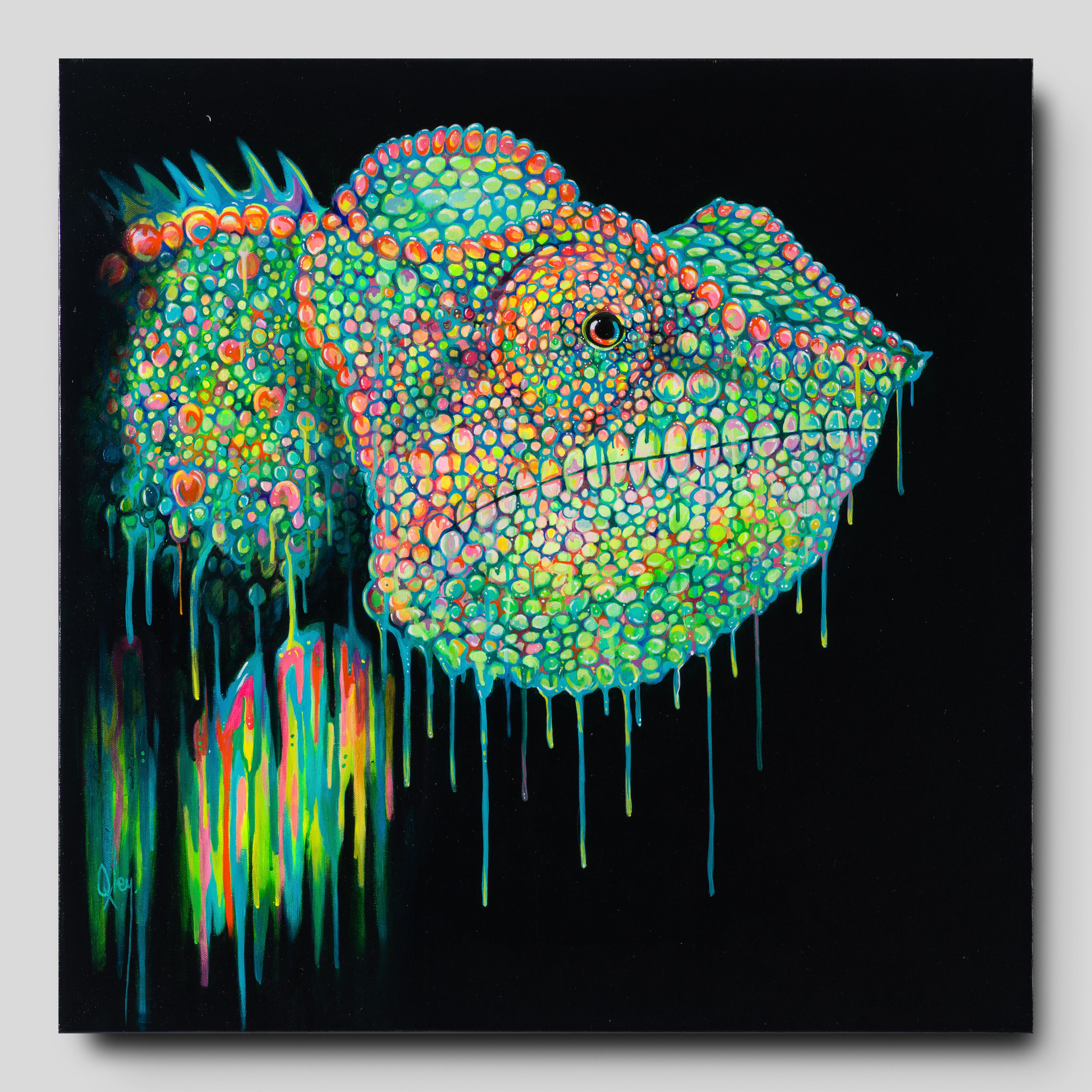 BOX ORI WWL 30088 1 Buzz