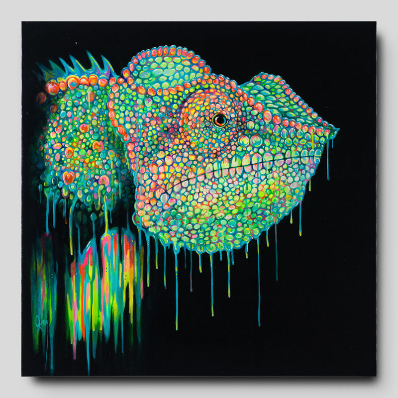 BOX ORI WWL 30088 1 Buzz