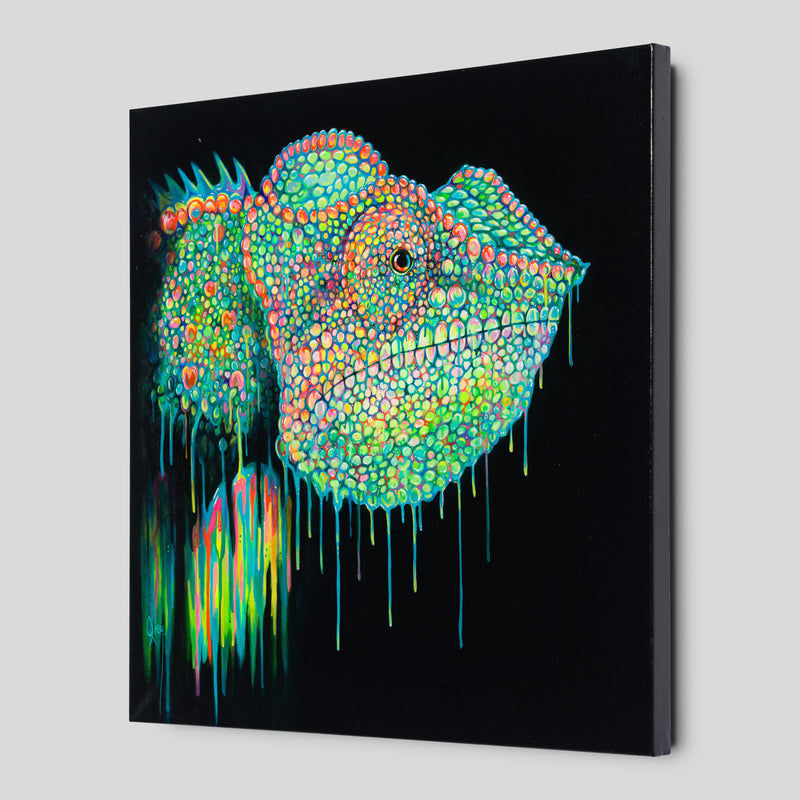 BOX ORI WWL 30088 2 Buzz