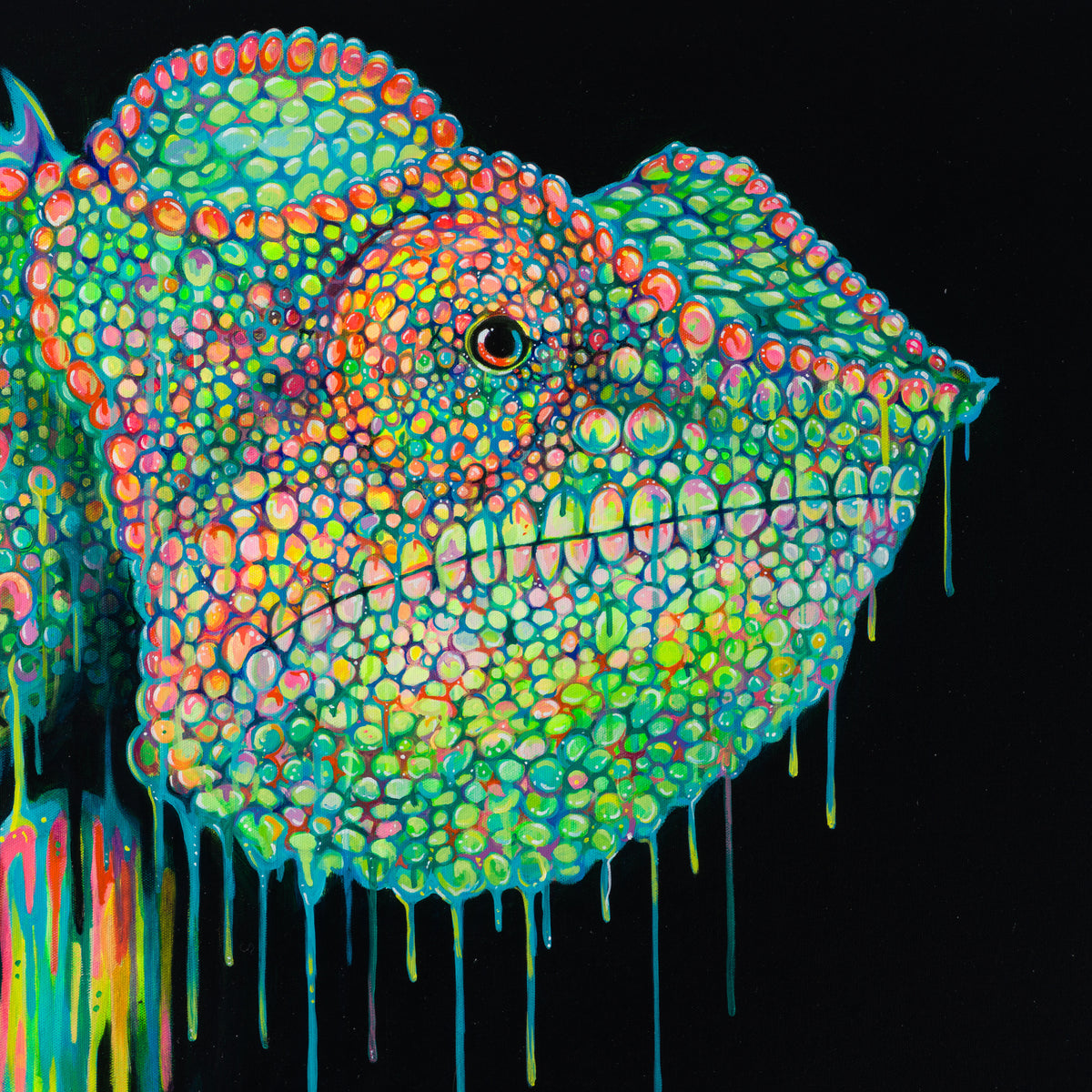 BOX ORI WWL 30088 3 Buzz