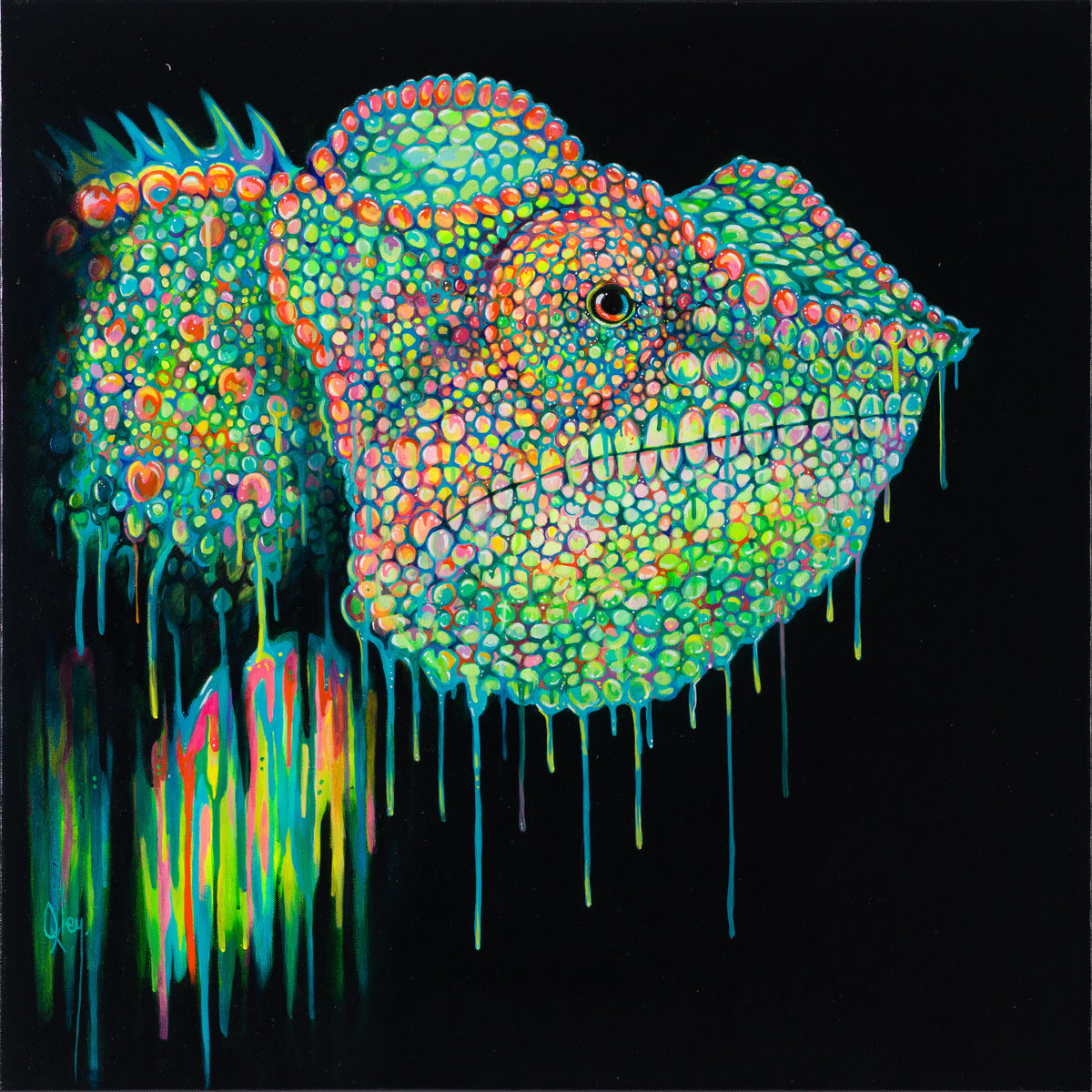 BOX ORI WWL 30088 30 Buzz