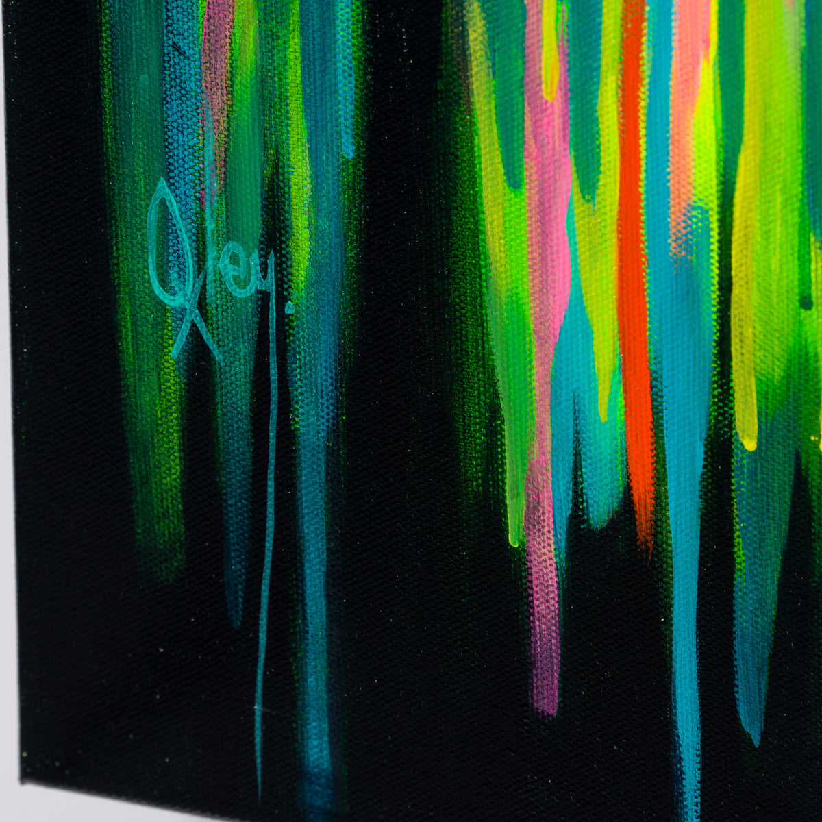 BOX ORI WWL 30088 4 Buzz