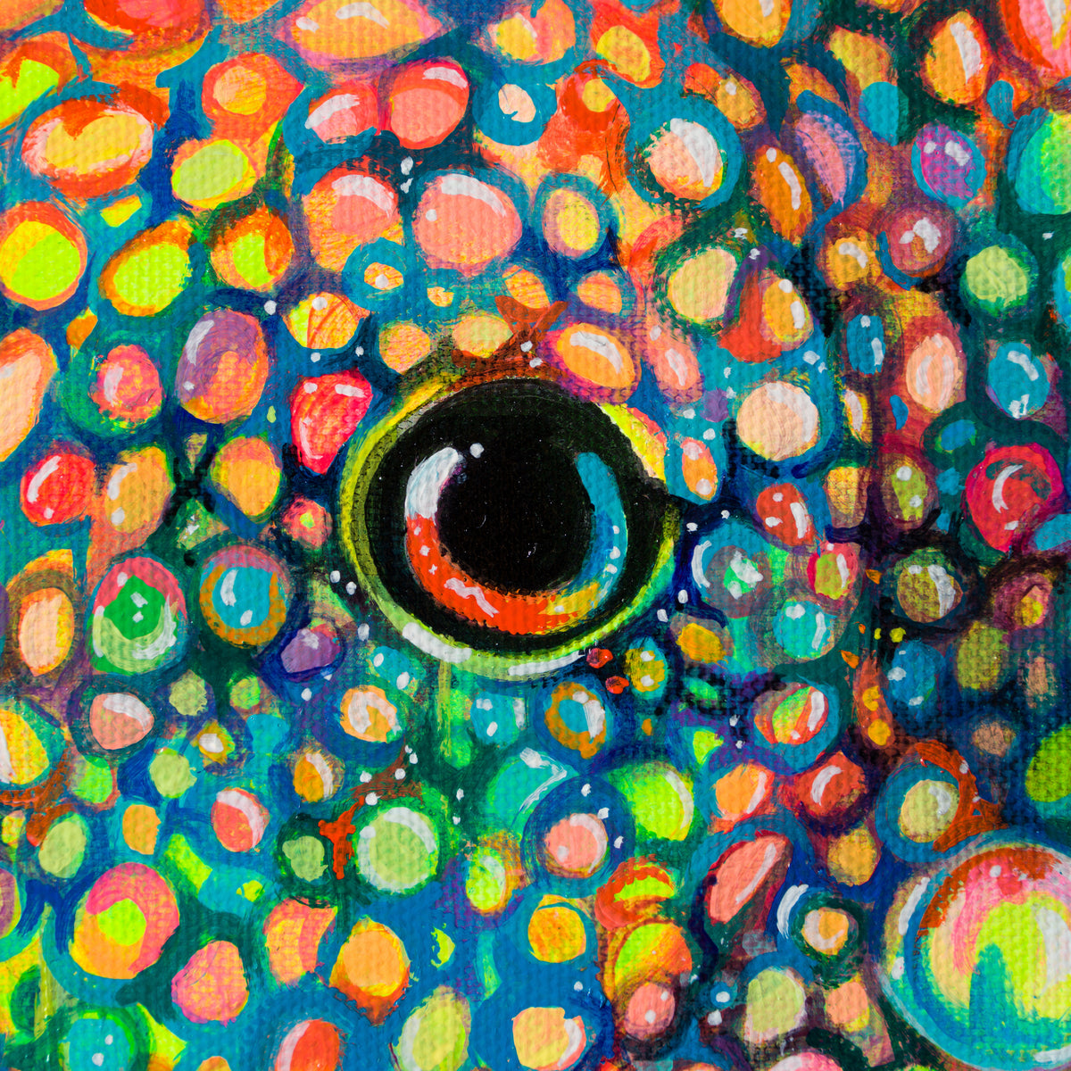 BOX ORI WWL 30088 5 Buzz