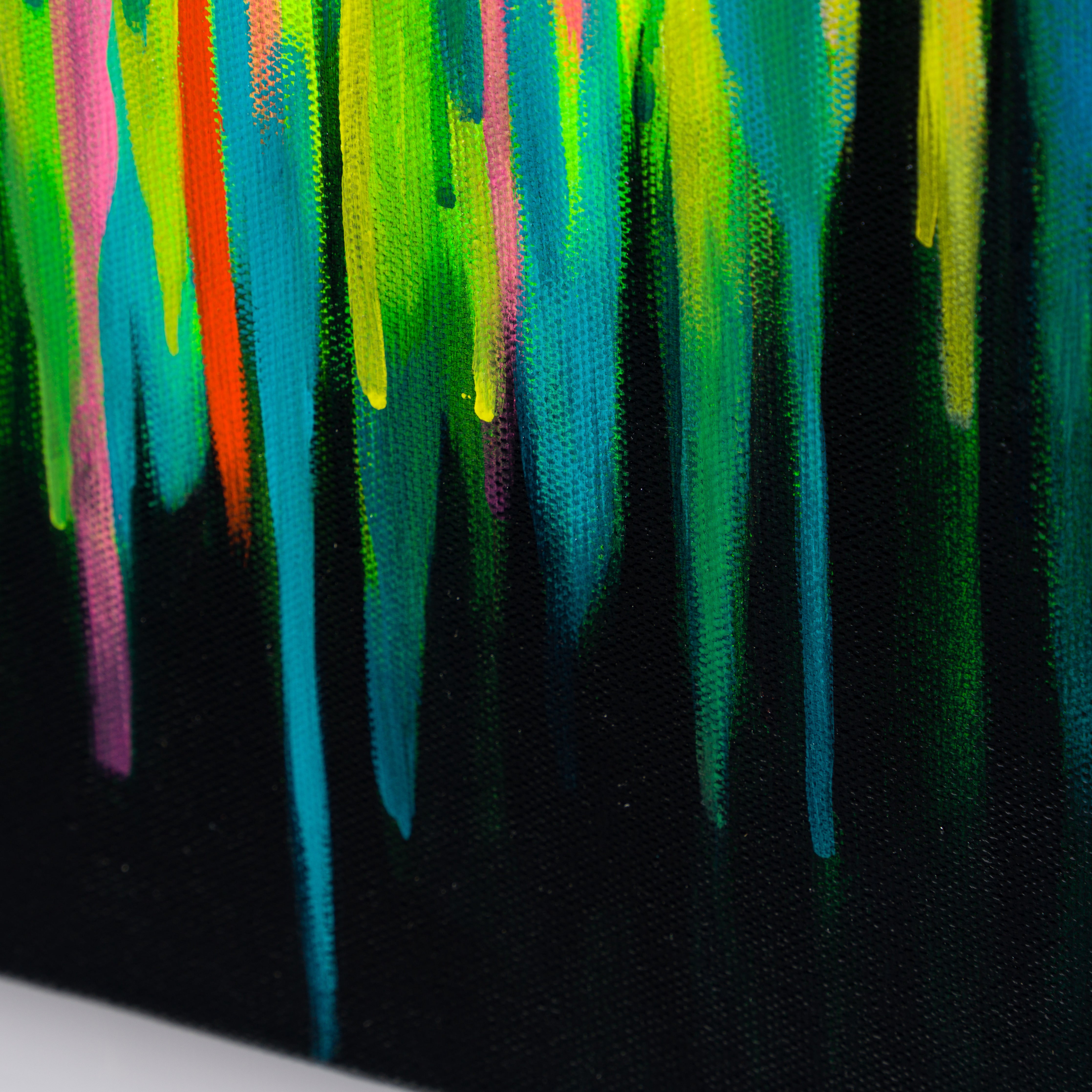 BOX ORI WWL 30088 6 Buzz