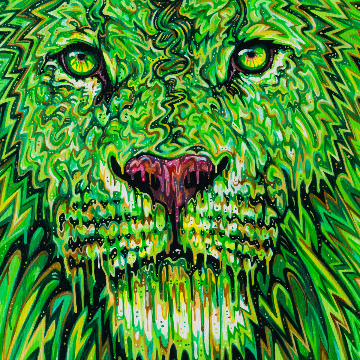 BOX ORI WWL 30320 6 Brunswick