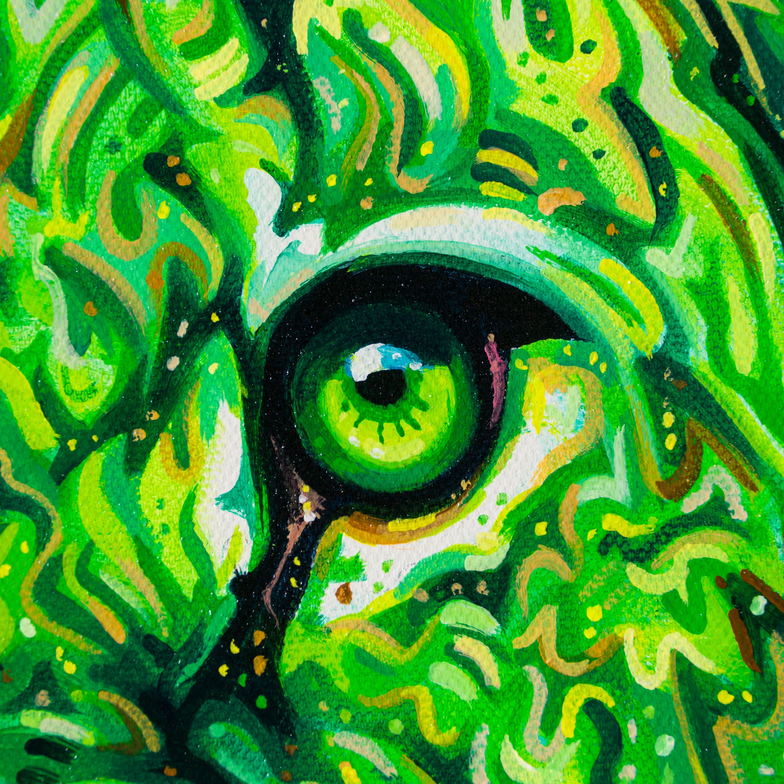 BOX ORI WWL 30325 Malachite 4