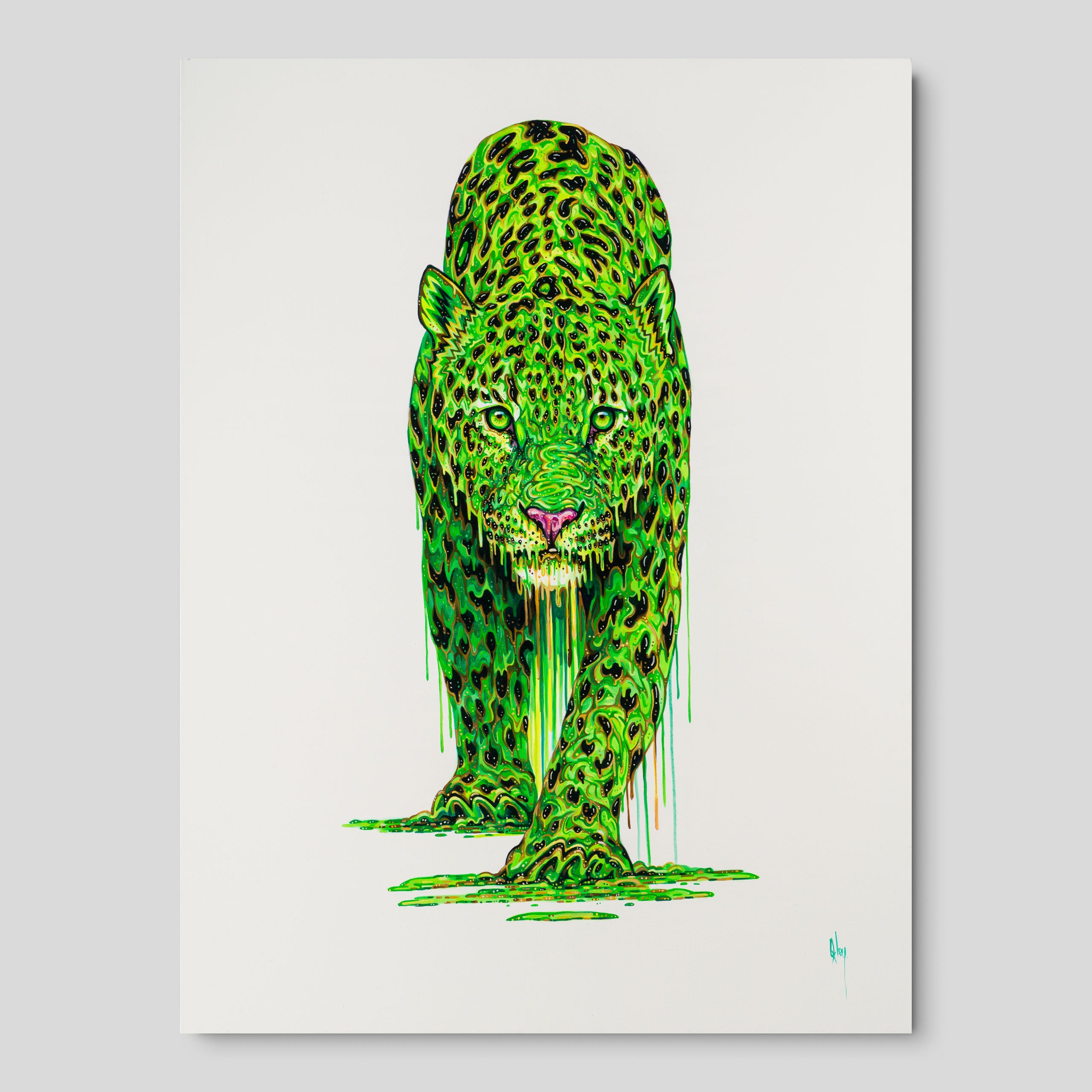 BOX ORI WWL 30326 Sage 1