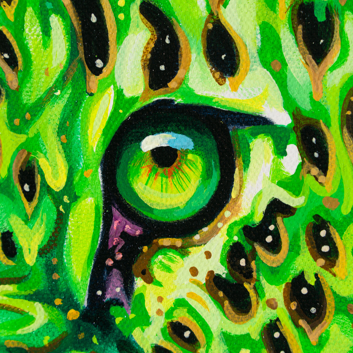 BOX ORI WWL 30326 Sage 4