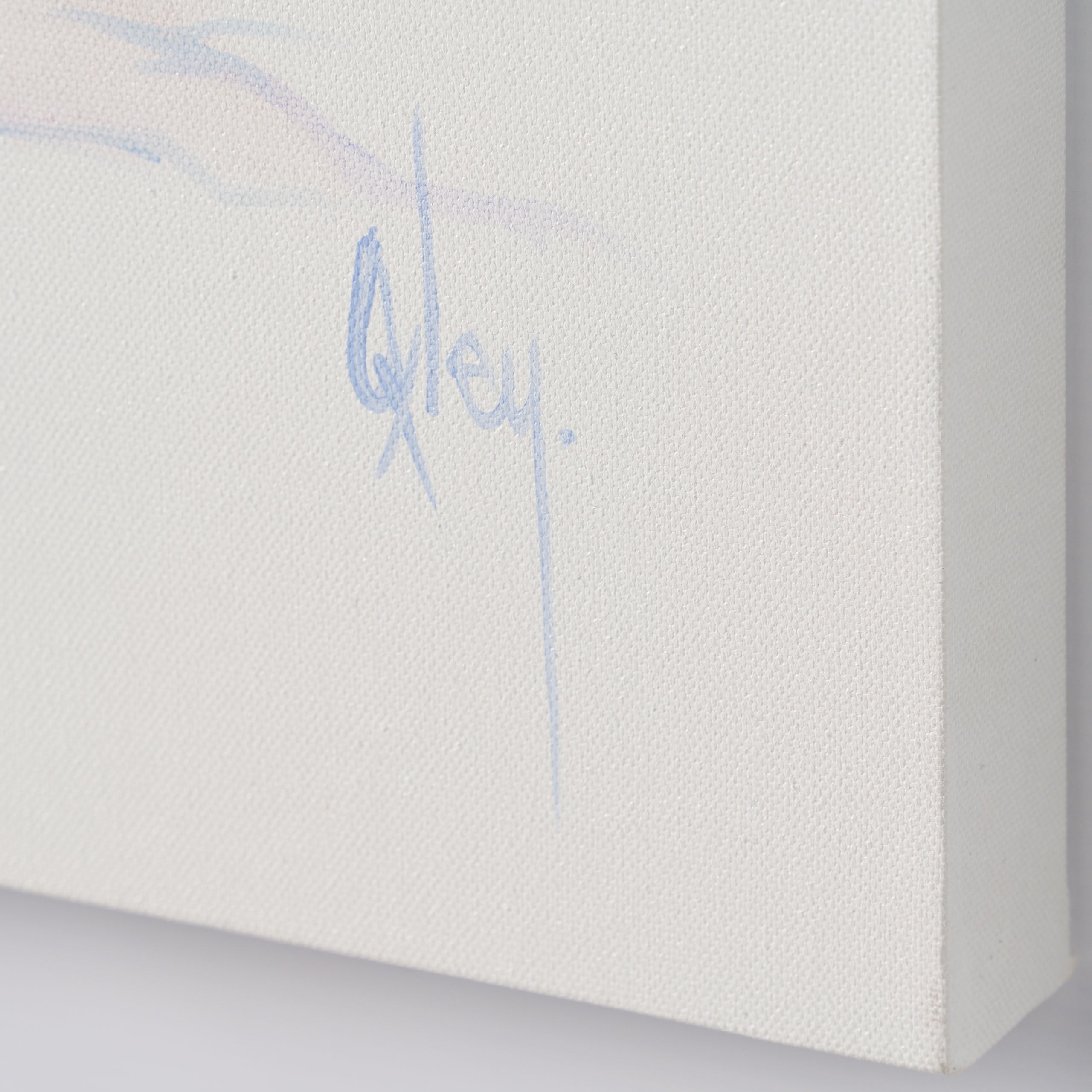 BOX ORI WWL 30827 Luka 3