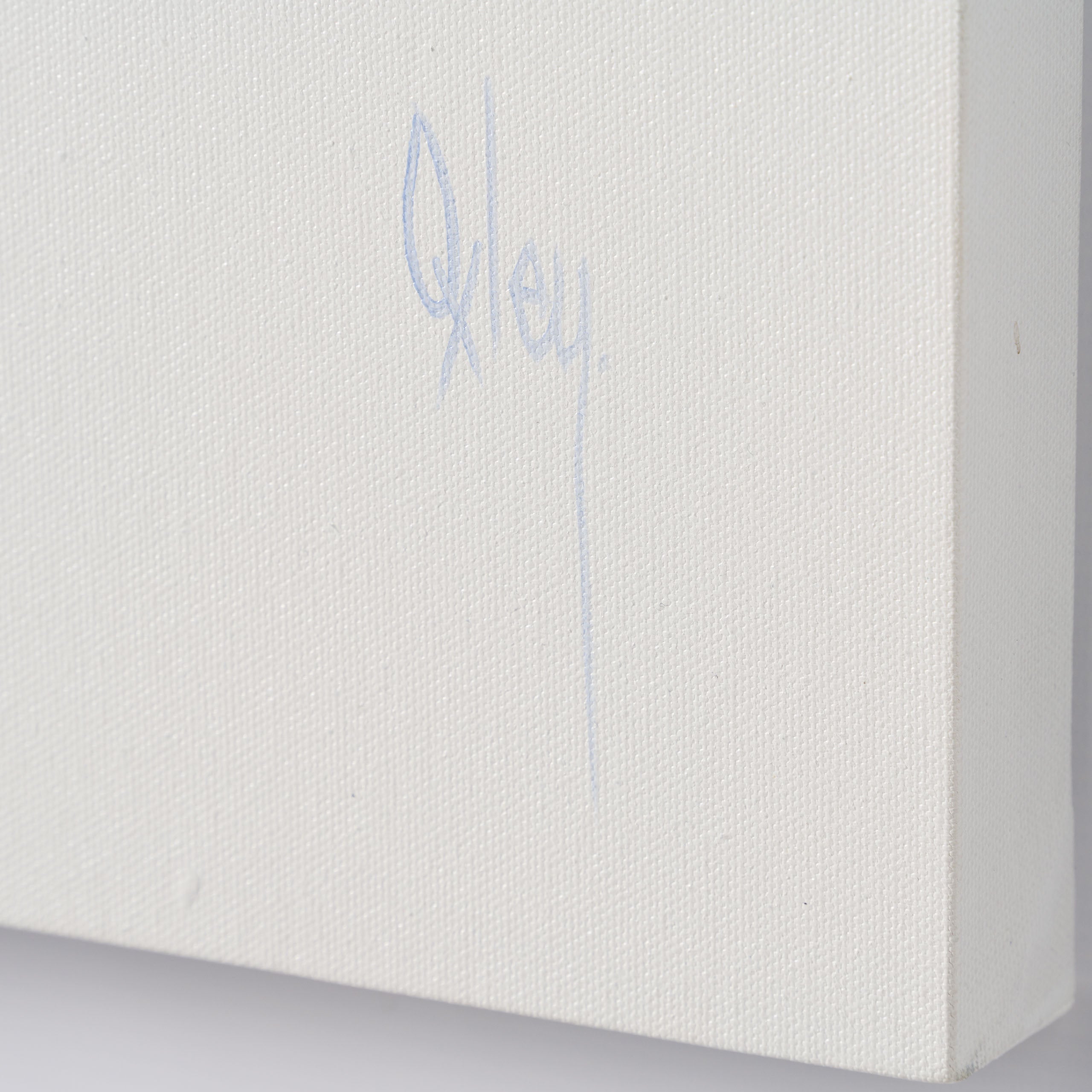 BOX ORI WWL 30829 Blanco 3