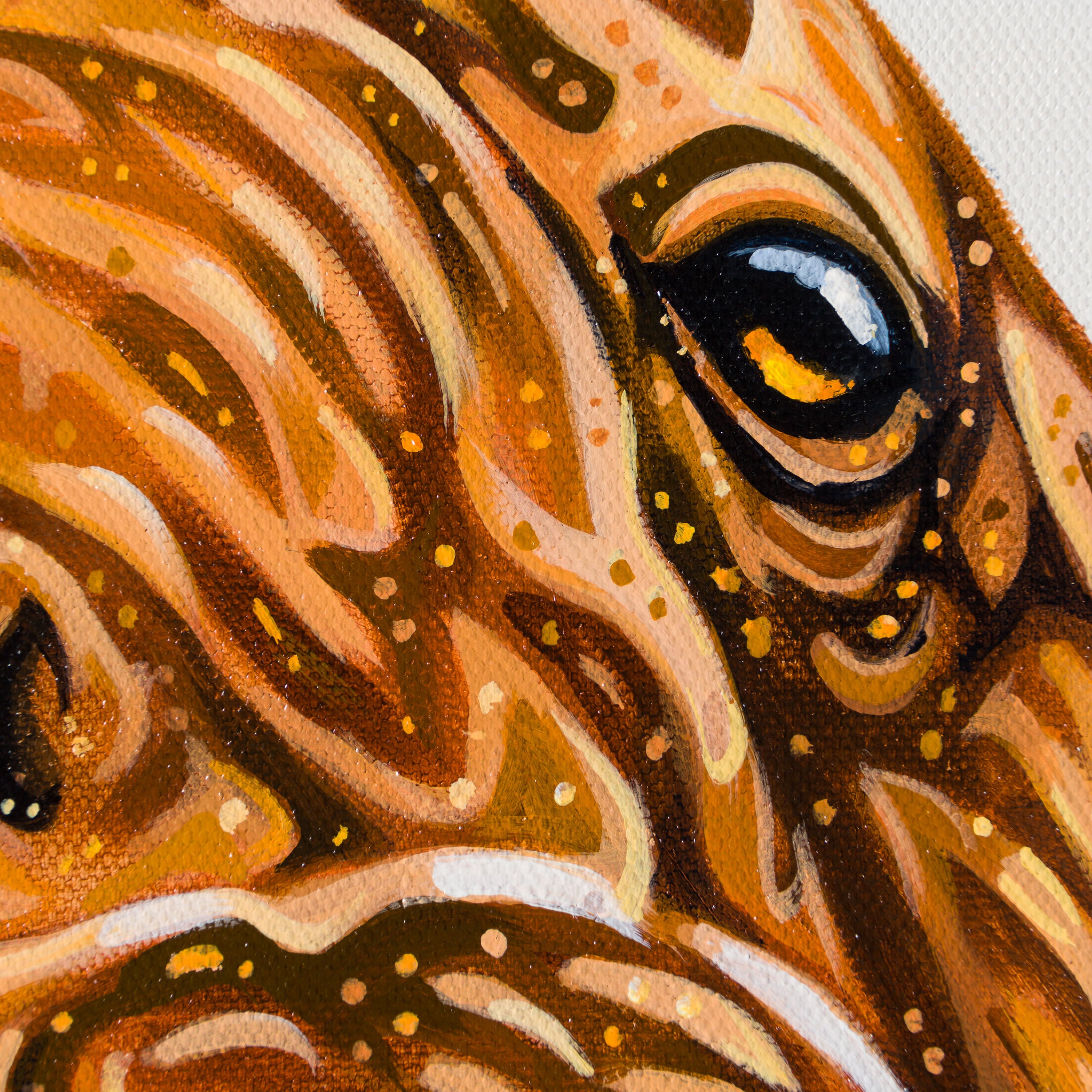 BOX ORI WWL 30830 Chukchi 4