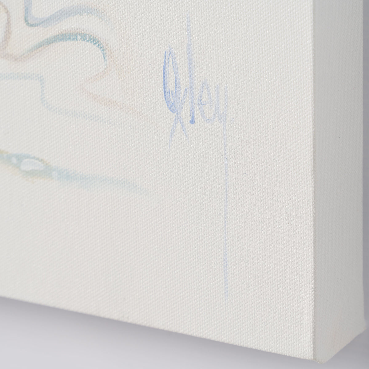 BOX ORI WWL 30831 Nelson 3