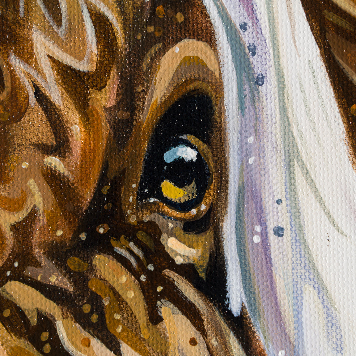 BOX ORI WWL 30831 Nelson 4