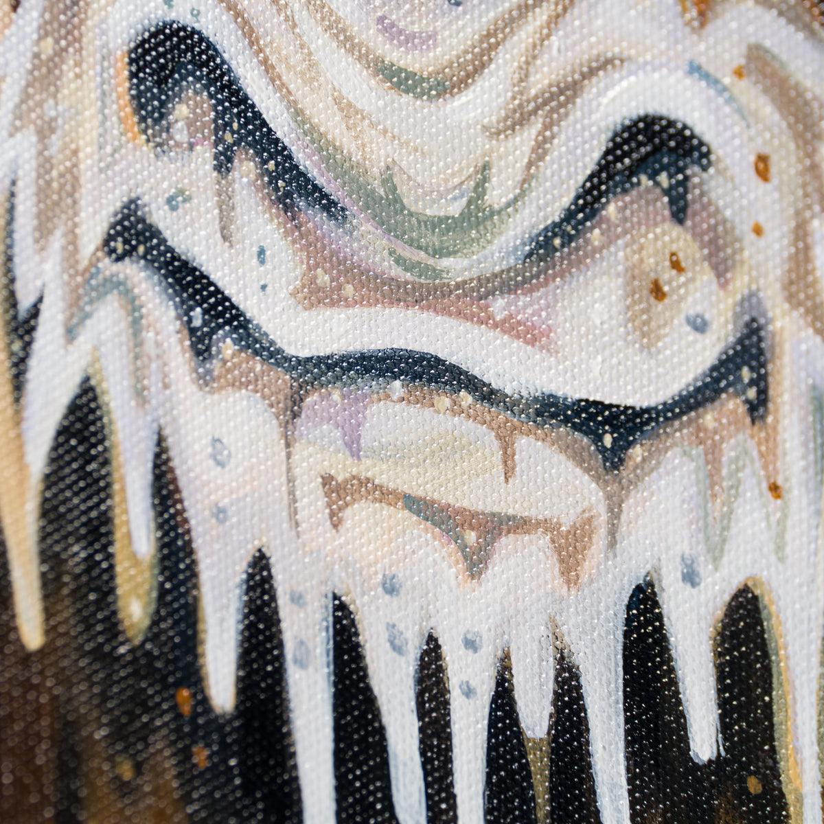 BOX ORI WWL 30831 Nelson 6