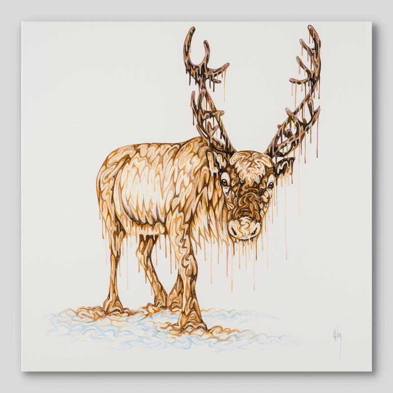 BOX ORI WWL 30834 Willow 1