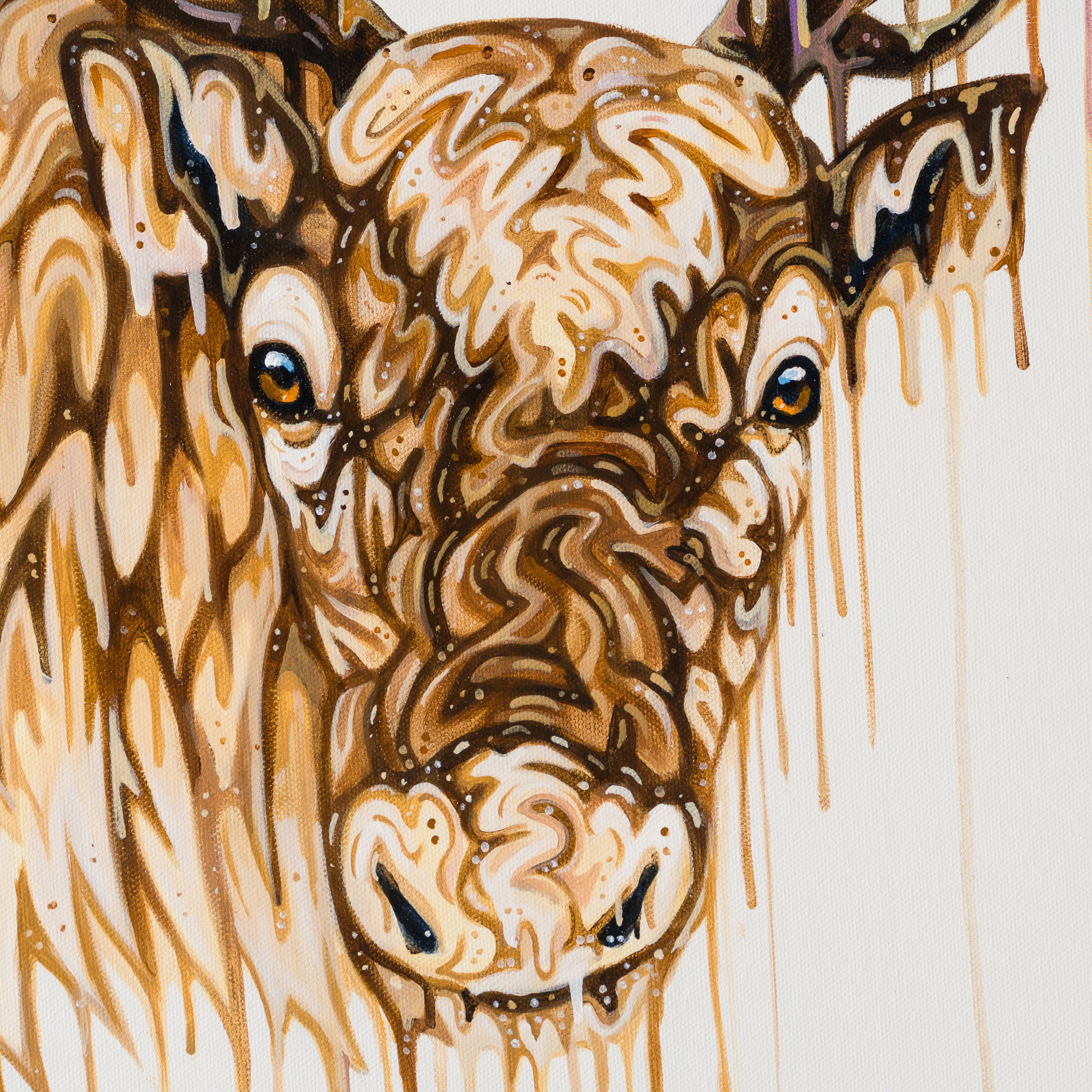 BOX ORI WWL 30834 Willow 6