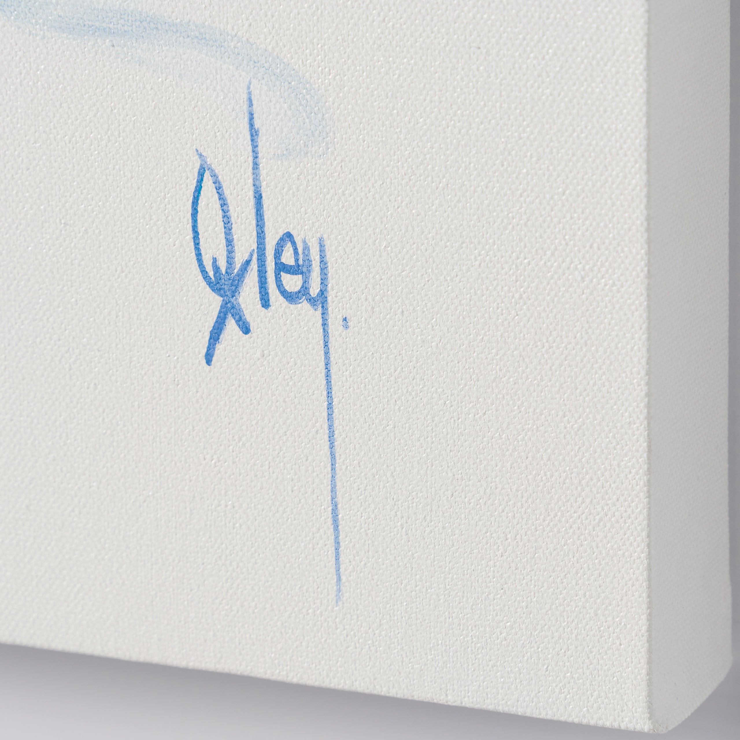 BOX ORI WWL 30838 The Boy s Are Back 3