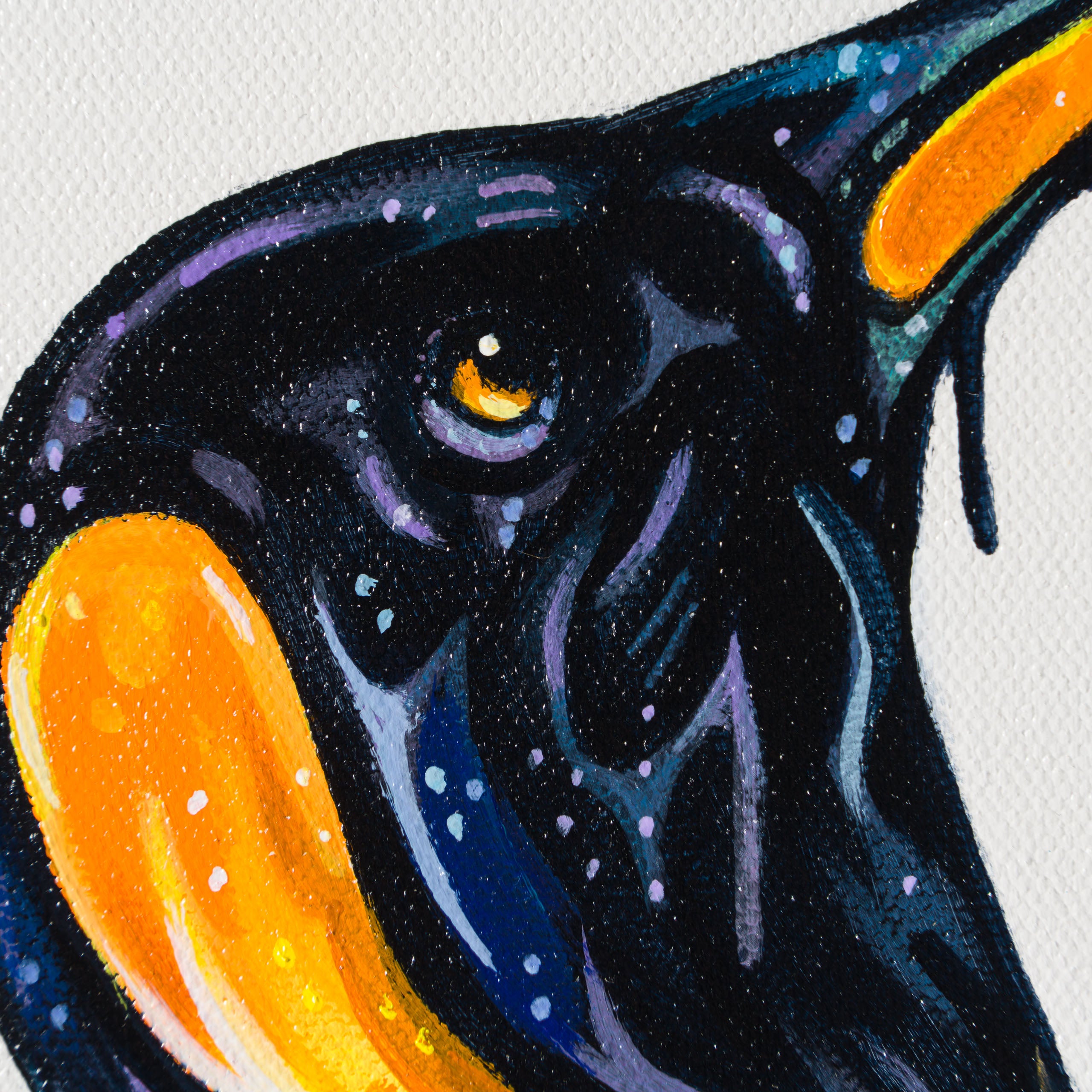 BOX ORI WWL 30838 The Boy s Are Back 5