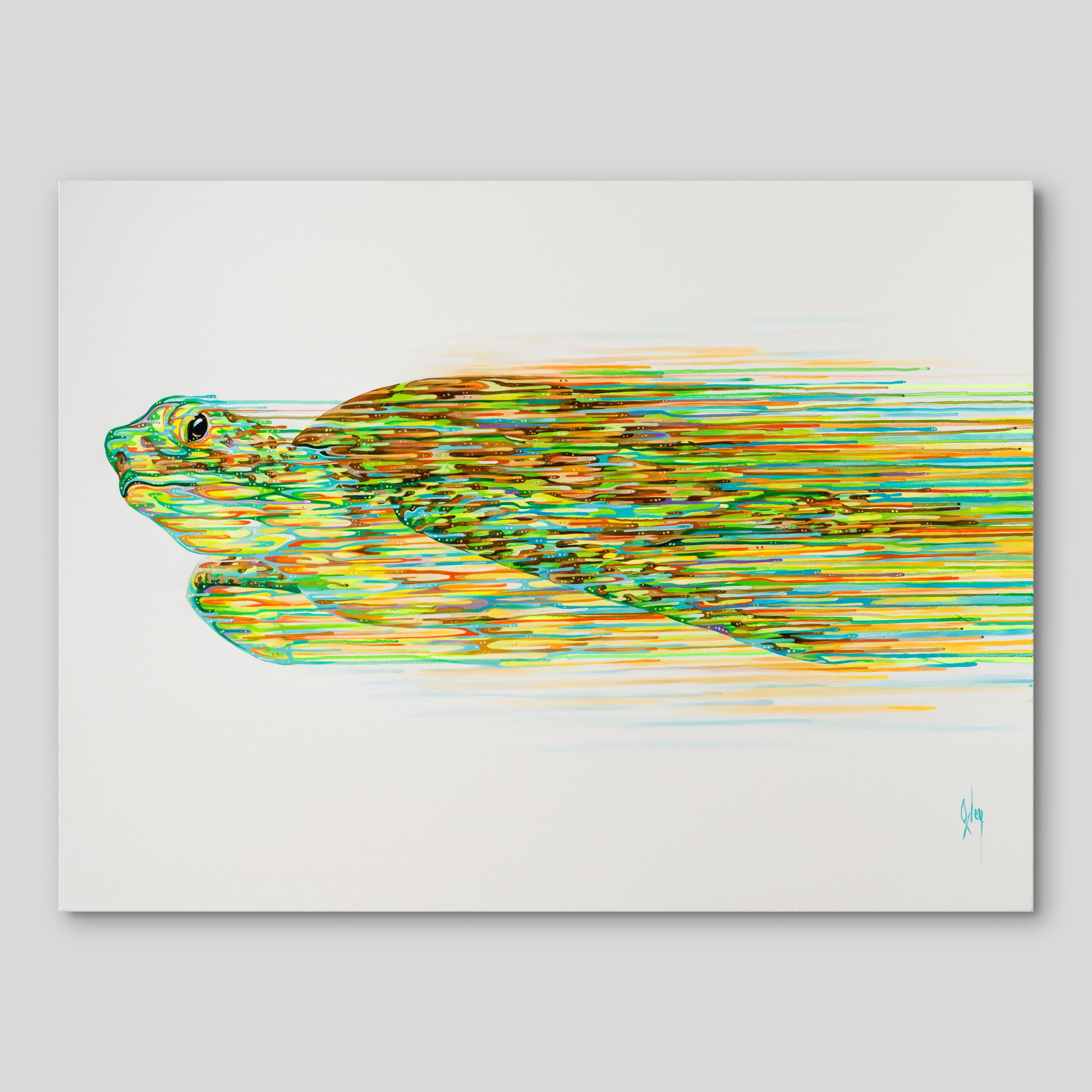 BOX ORI WWL 31218 Nautilus 1