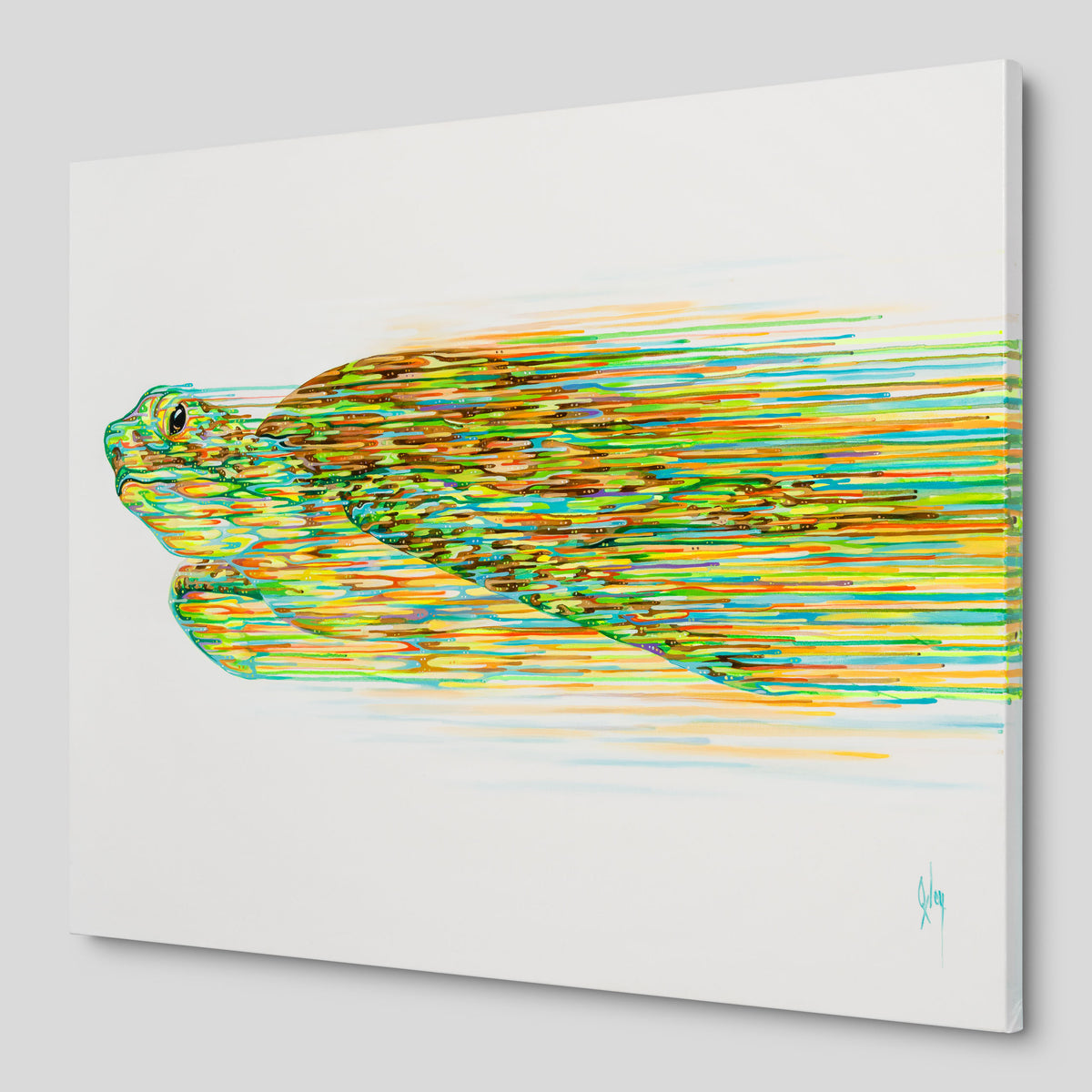 BOX ORI WWL 31218 Nautilus 2