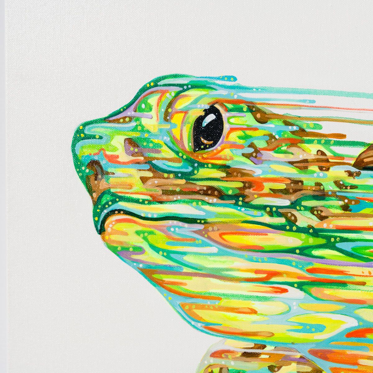 BOX ORI WWL 31218 Nautilus 5