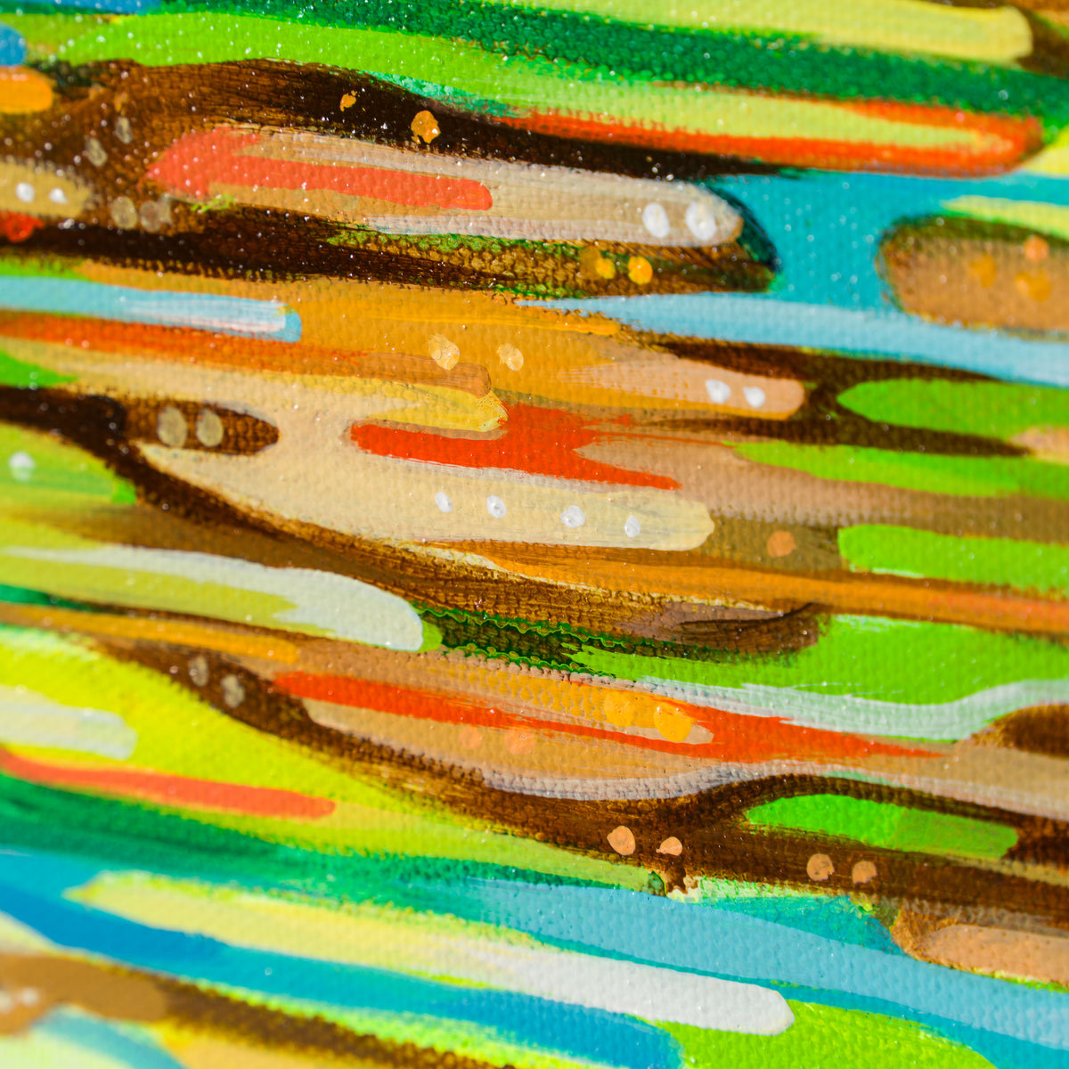 BOX ORI WWL 31218 Nautilus 6