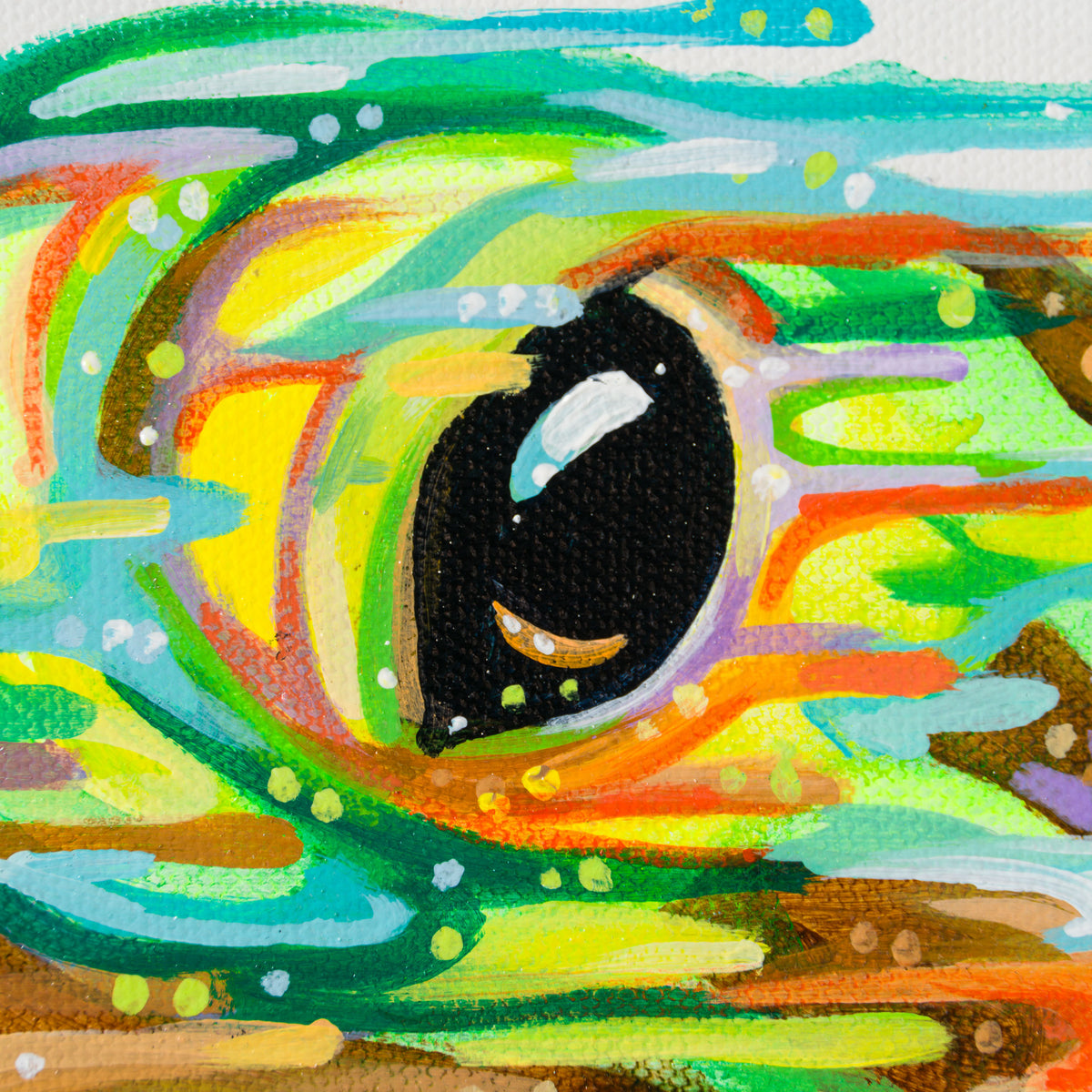 BOX ORI WWL 31218 Nautilus 7