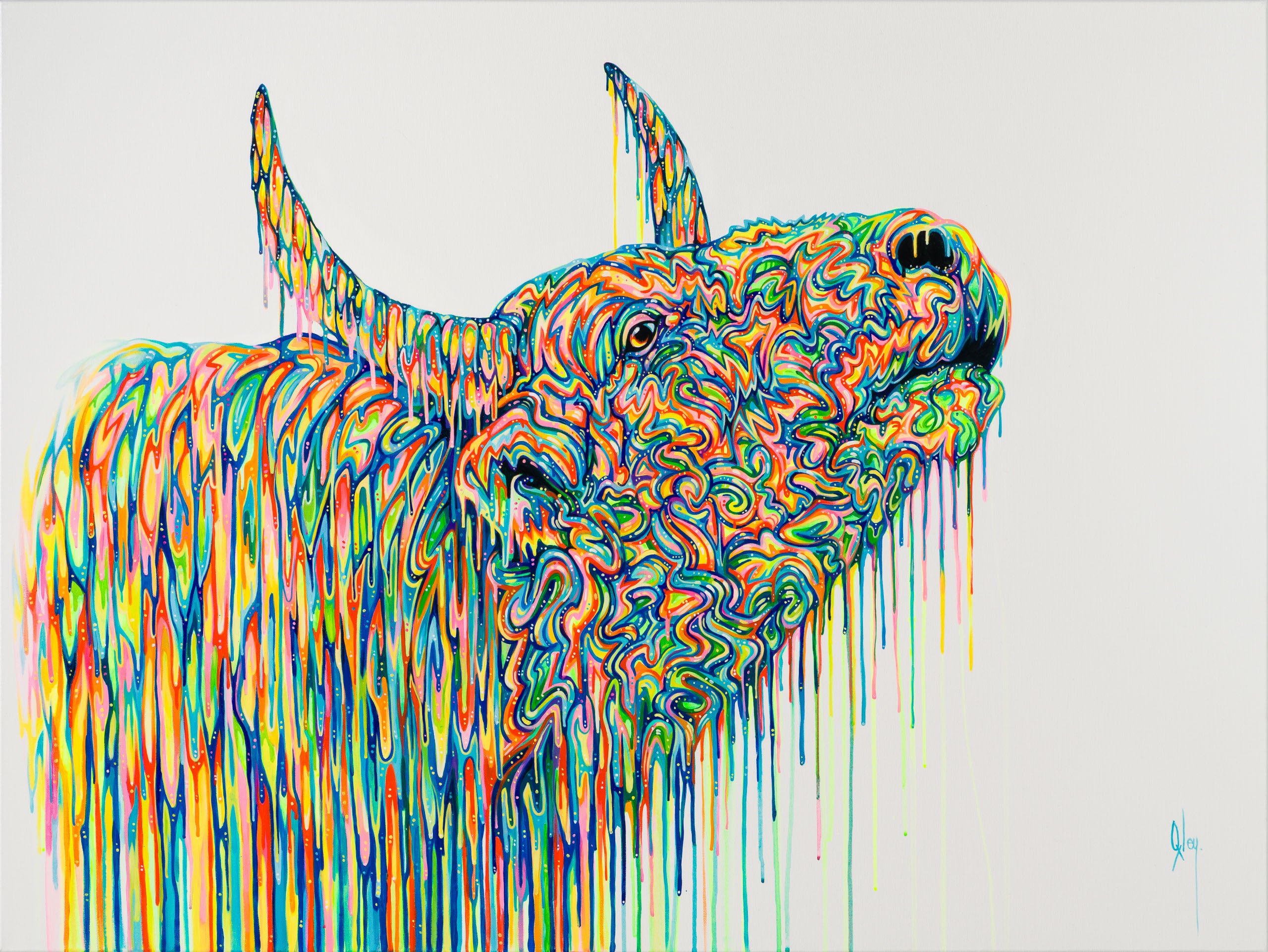 BOX ORI WWL 31221 Dutton 30