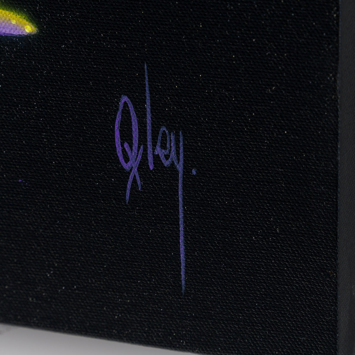 BOX ORI WWL 31574 Fischer 3