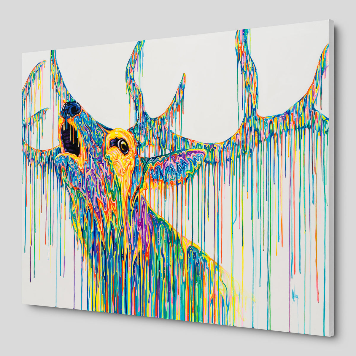 BOX ORI WWL 31911 Reverie 2