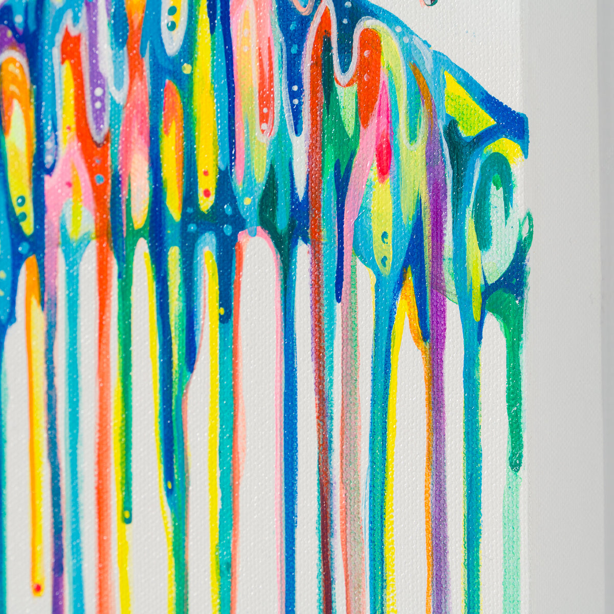 BOX ORI WWL 31911 Reverie 6