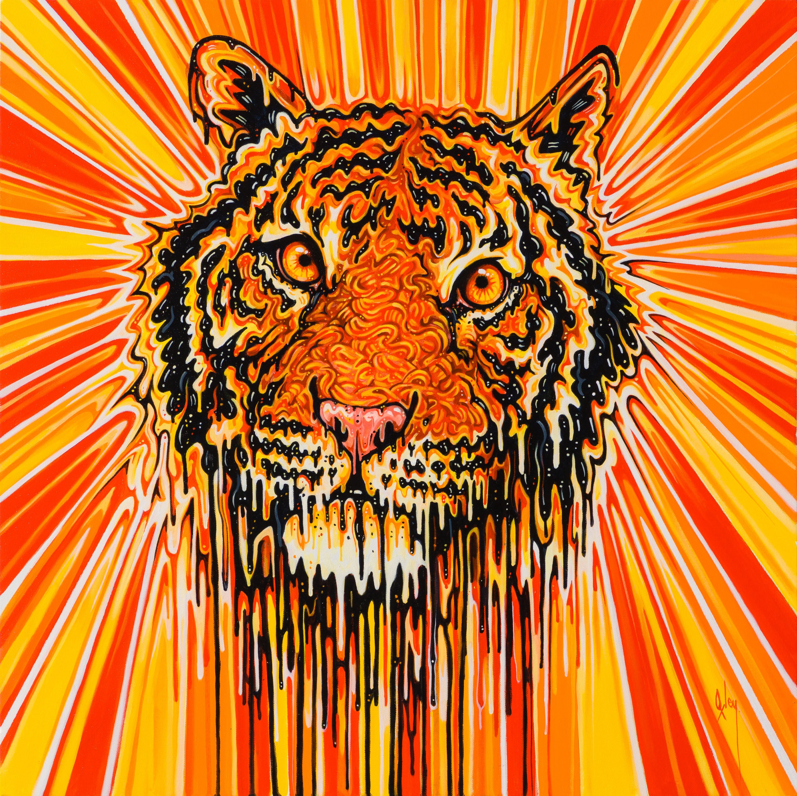 BOX ORI WWL 31915 Laser Fury 30