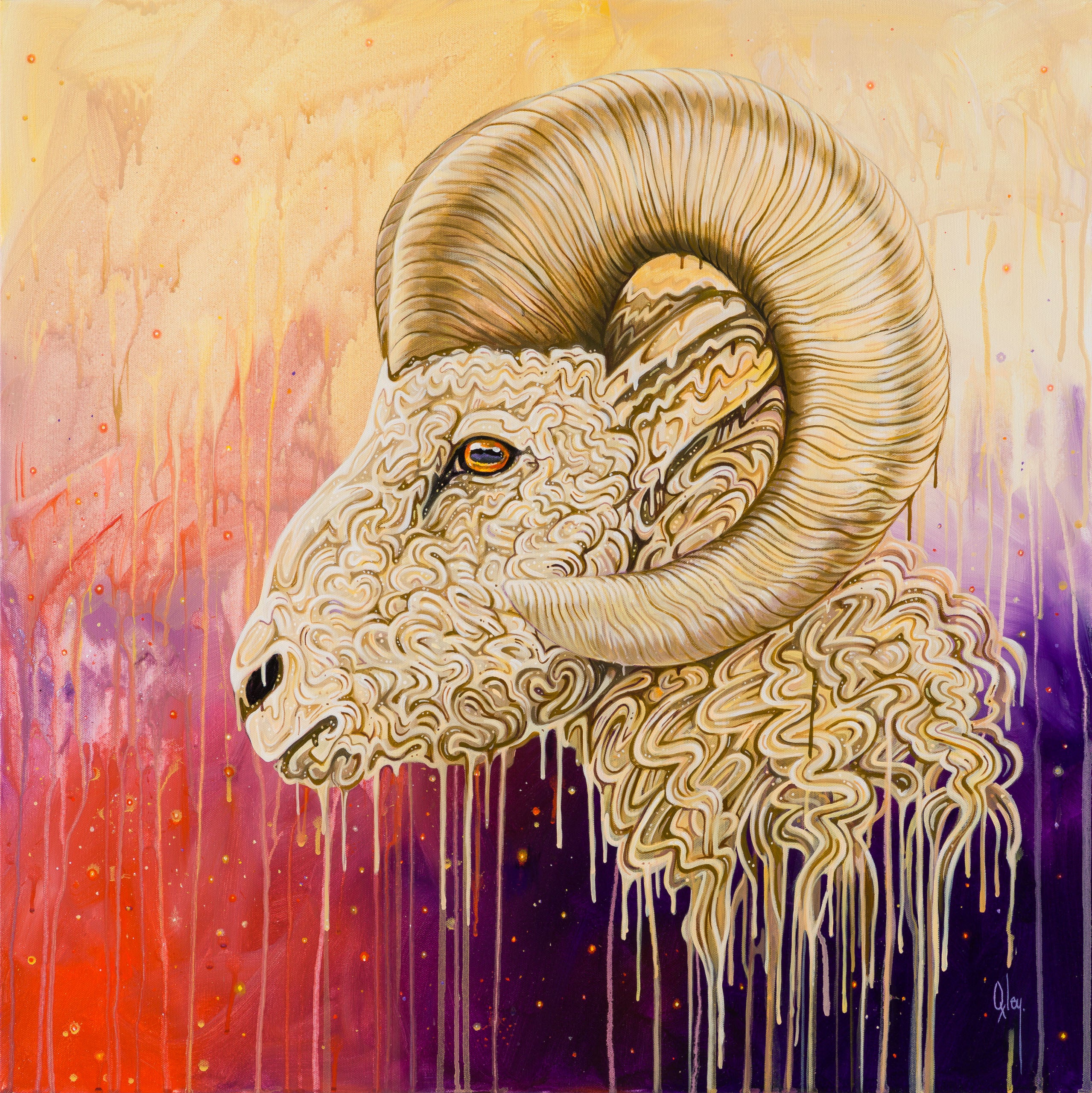 BOX ORI WWL 31916 Cosmos 30