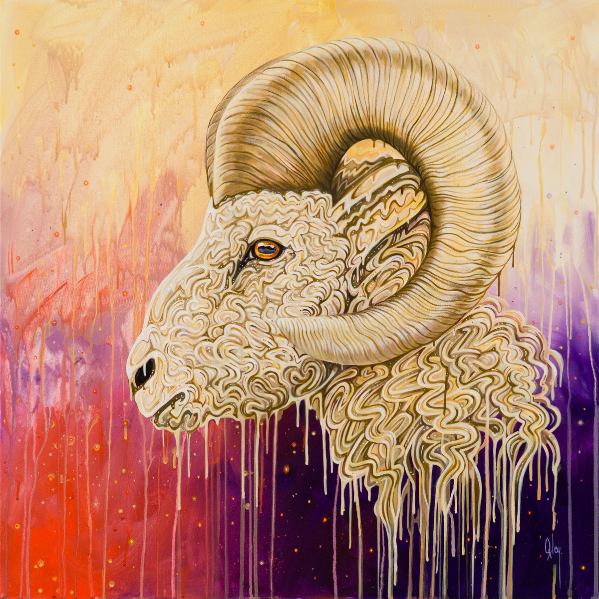 BOX ORI WWL 31916 Cosmos 30