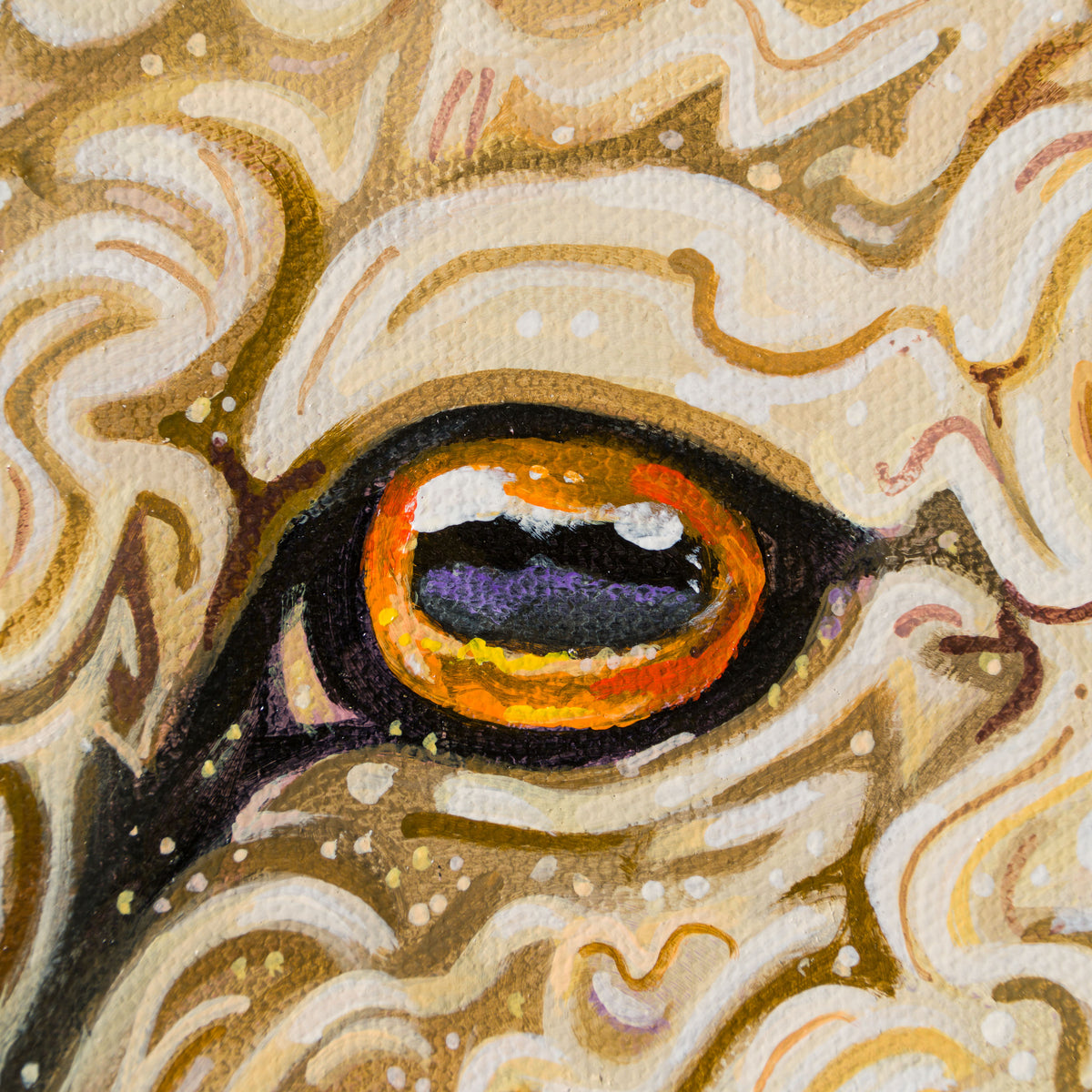 BOX ORI WWL 31916 Cosmos 4