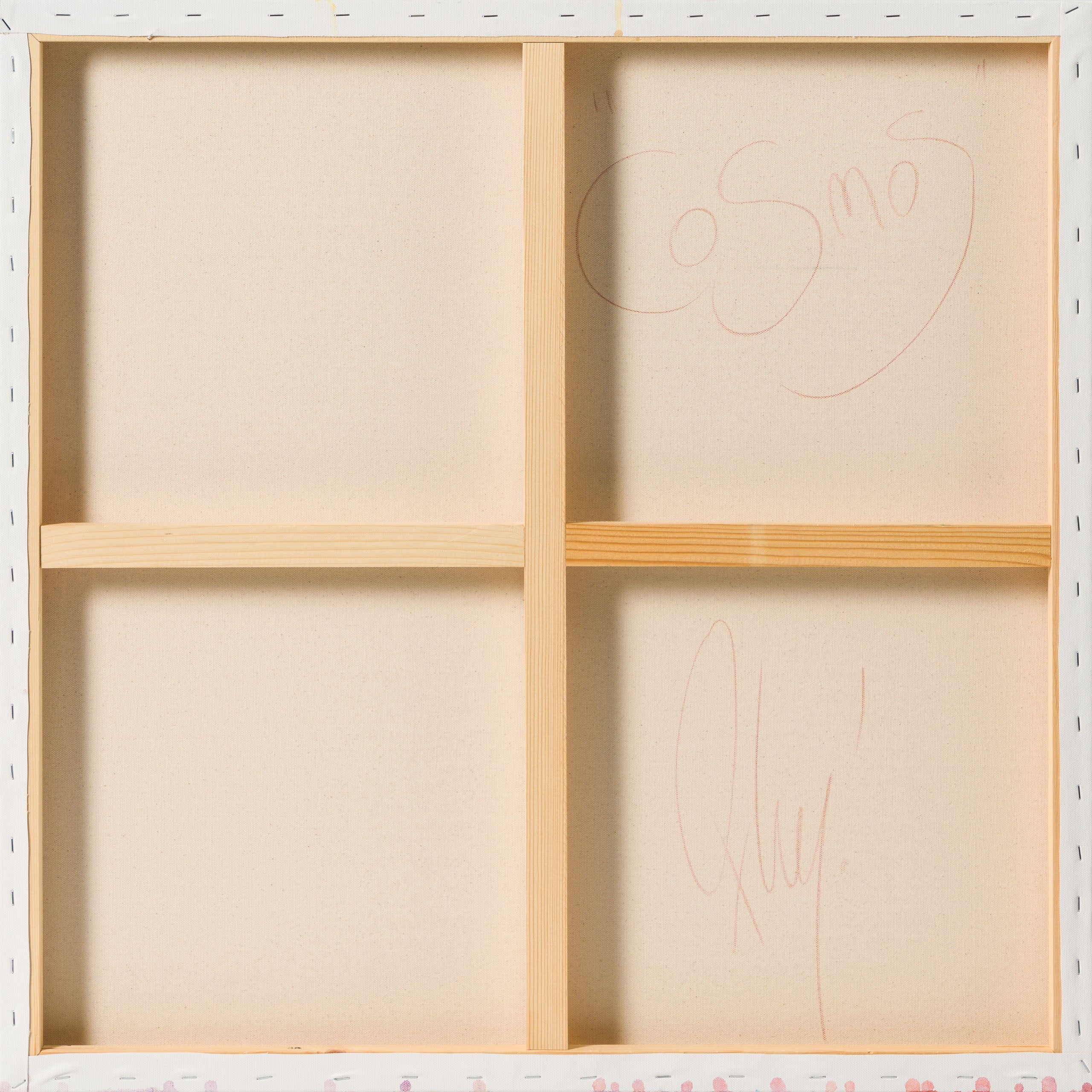 BOX ORI WWL 31916 Cosmos 8