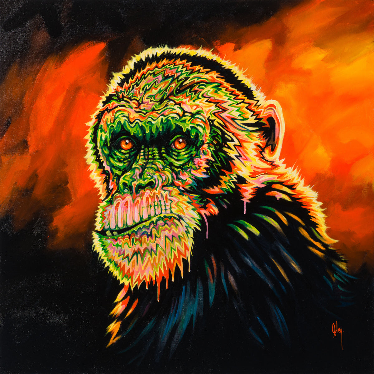 BOX ORI WWL 32325 Basil Is A Gogo 30