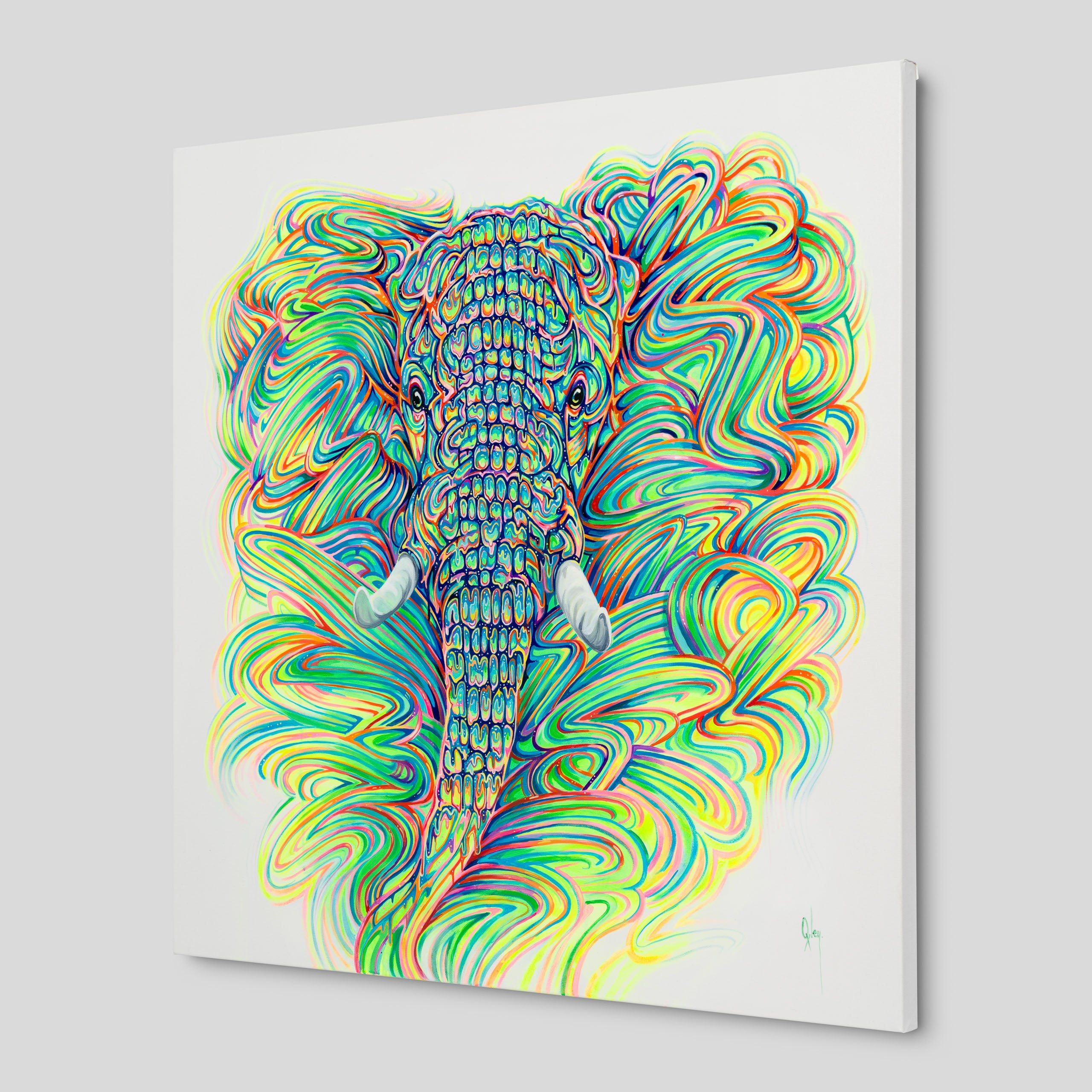 BOX ORI WWL 32326 Labyrinth 2