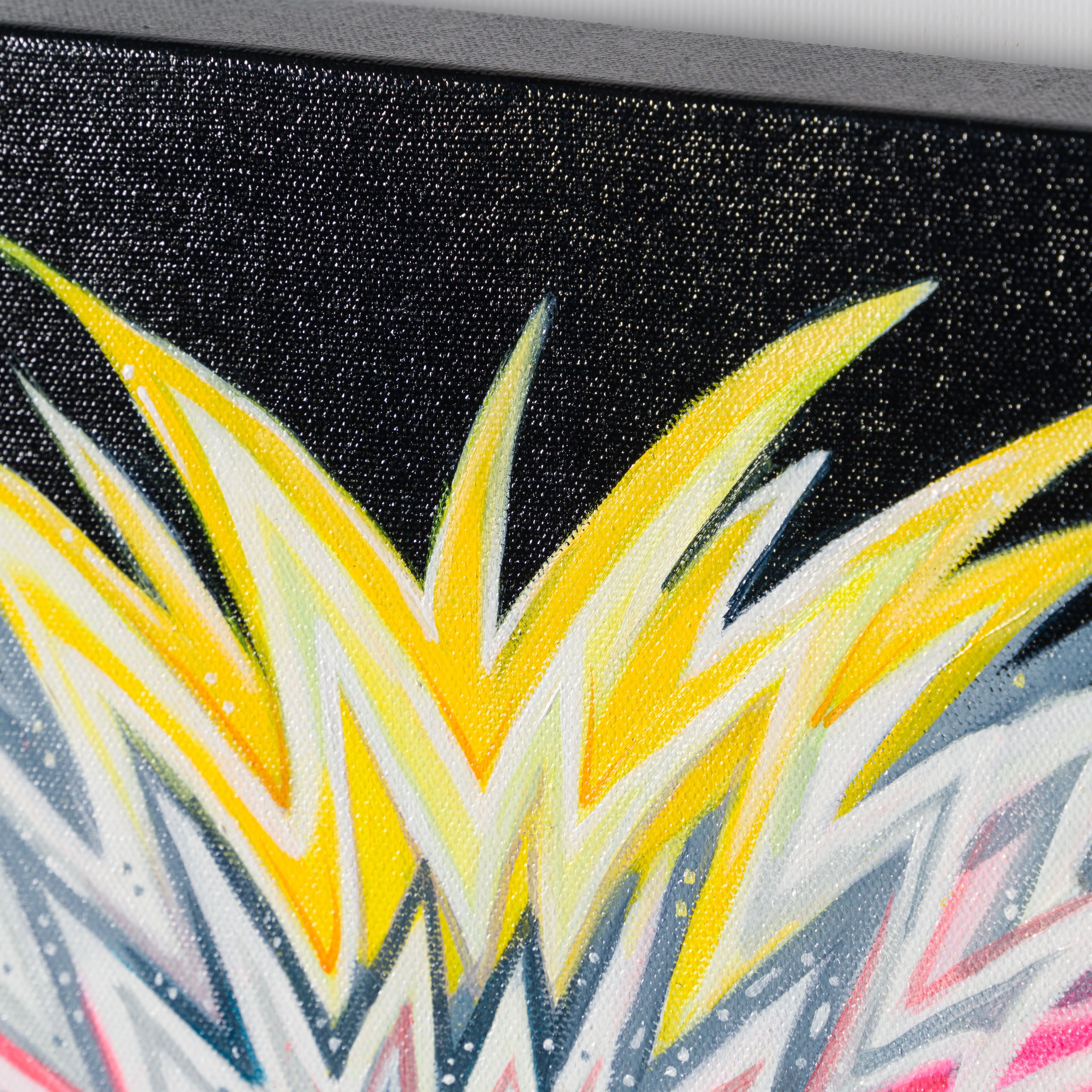 BOX ORI WWL 32570 Freedom 5