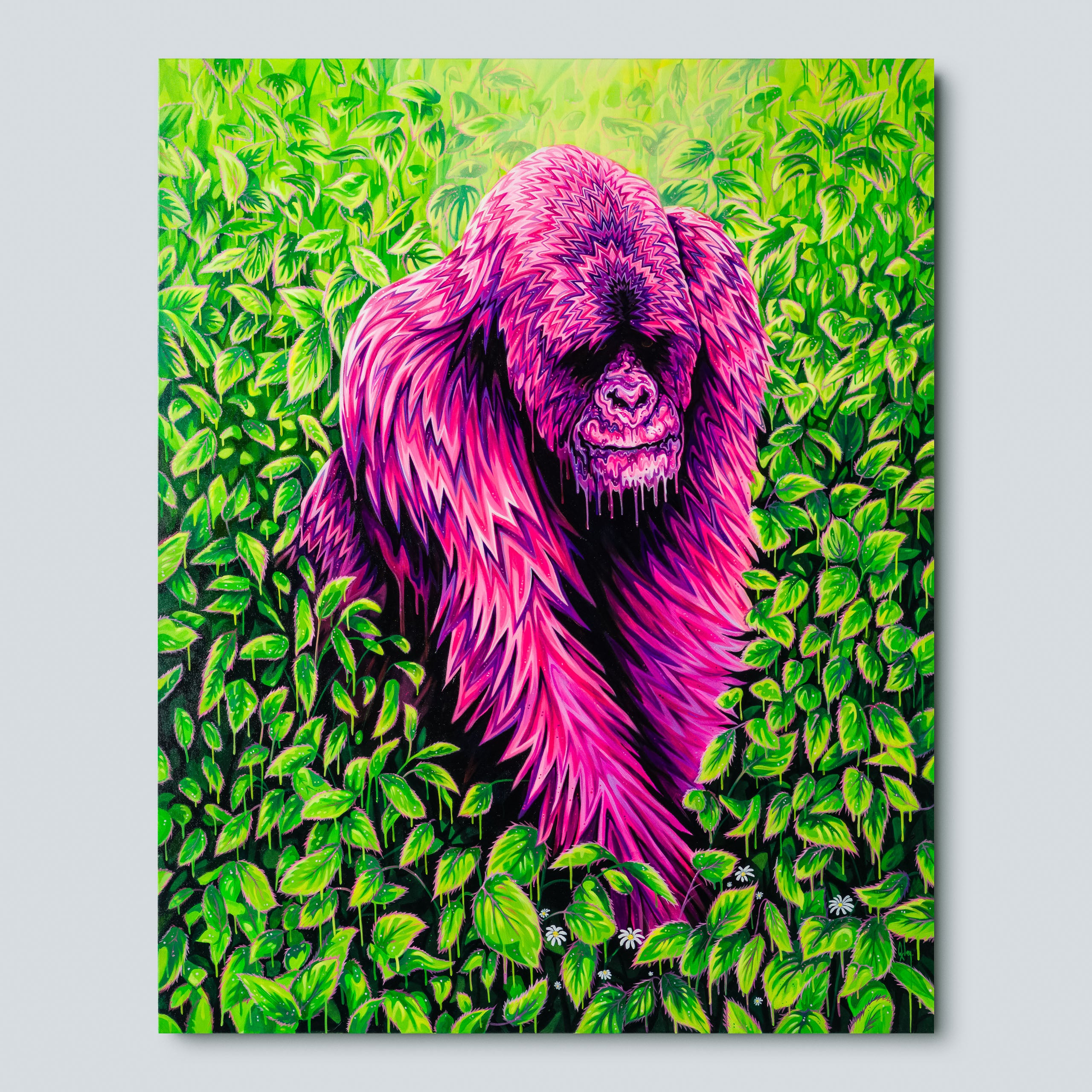 BOX ORI WWL 32574 The Alchemist 1