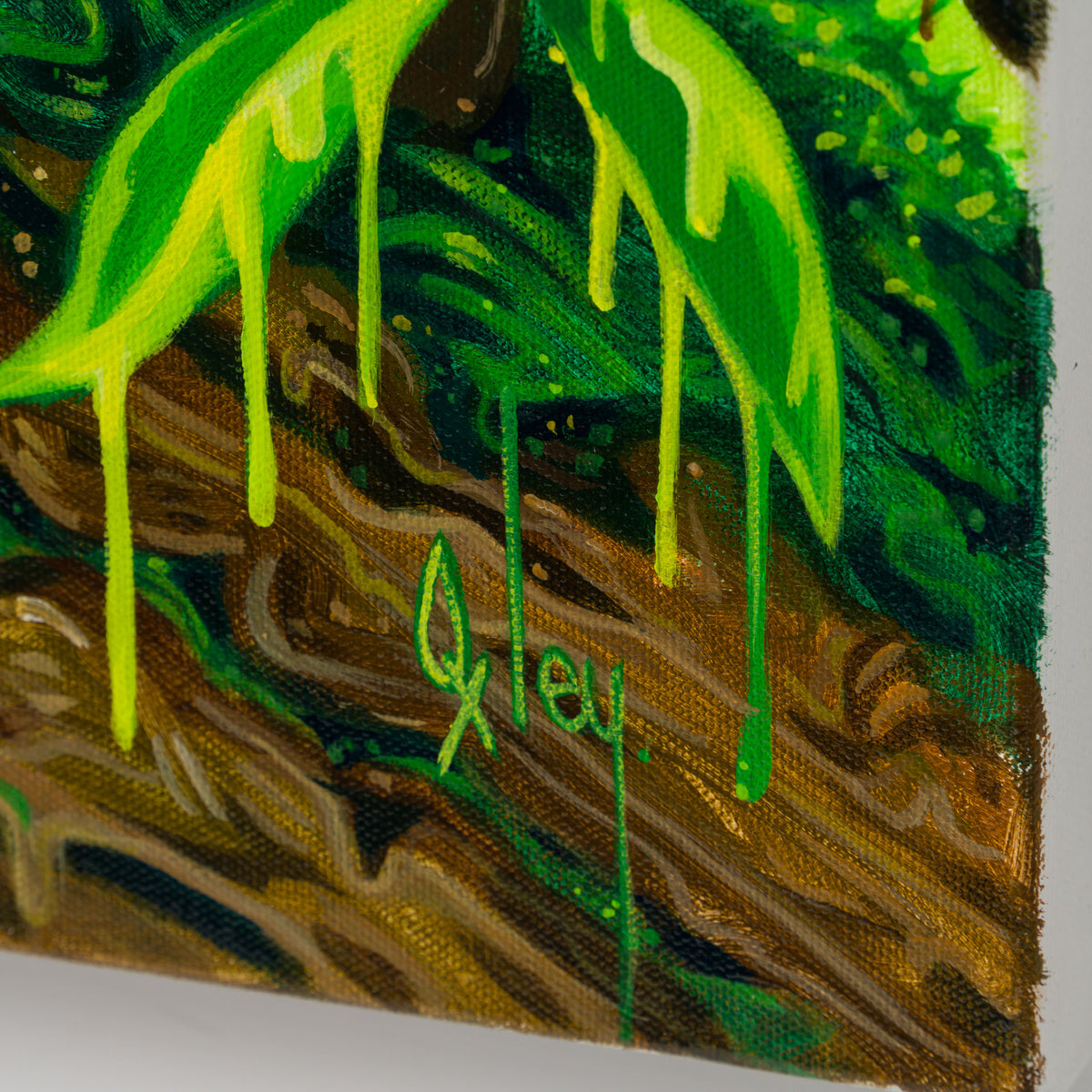 BOX ORI WWL 33206 Band Of Gold 3