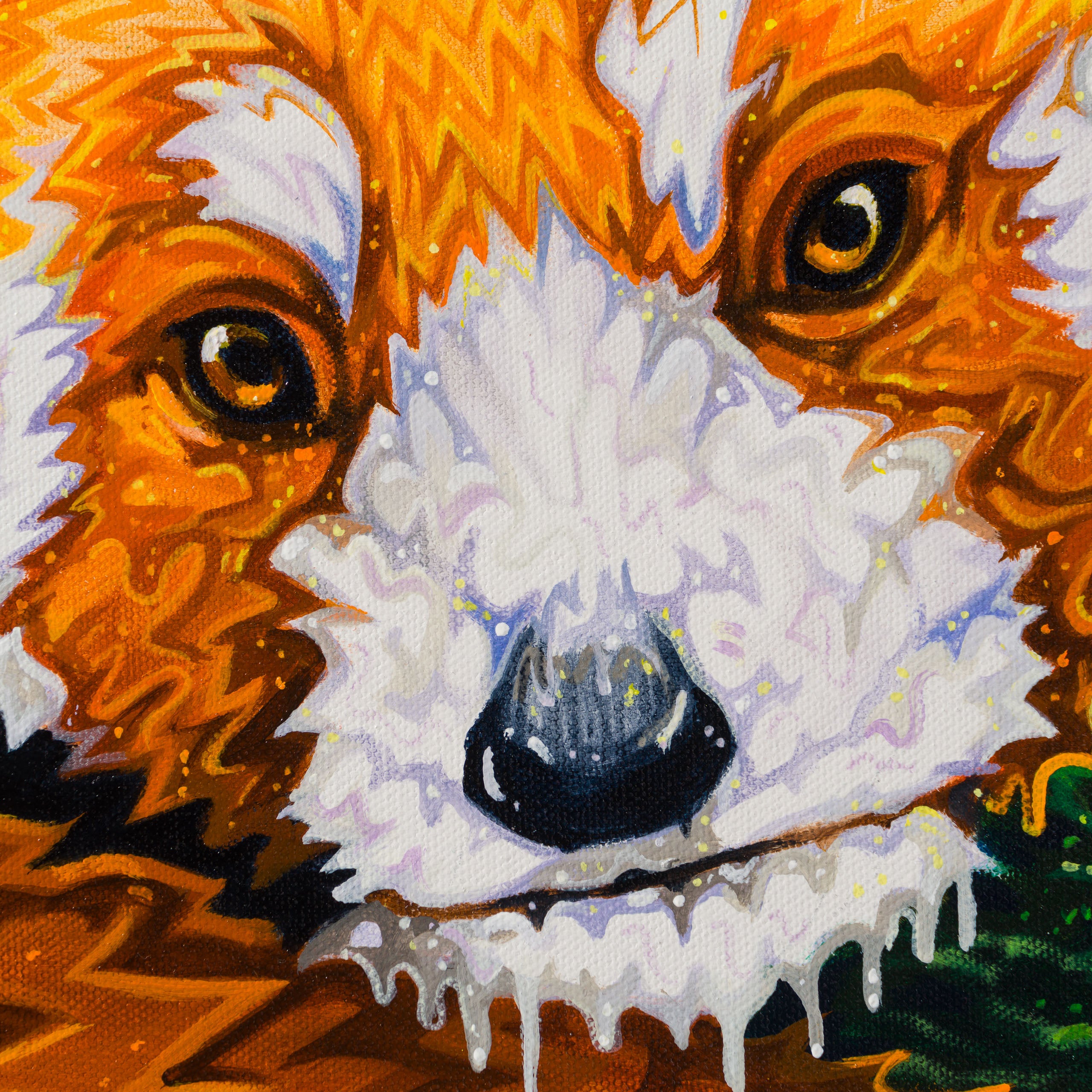 BOX ORI WWL 33206 Band Of Gold 5