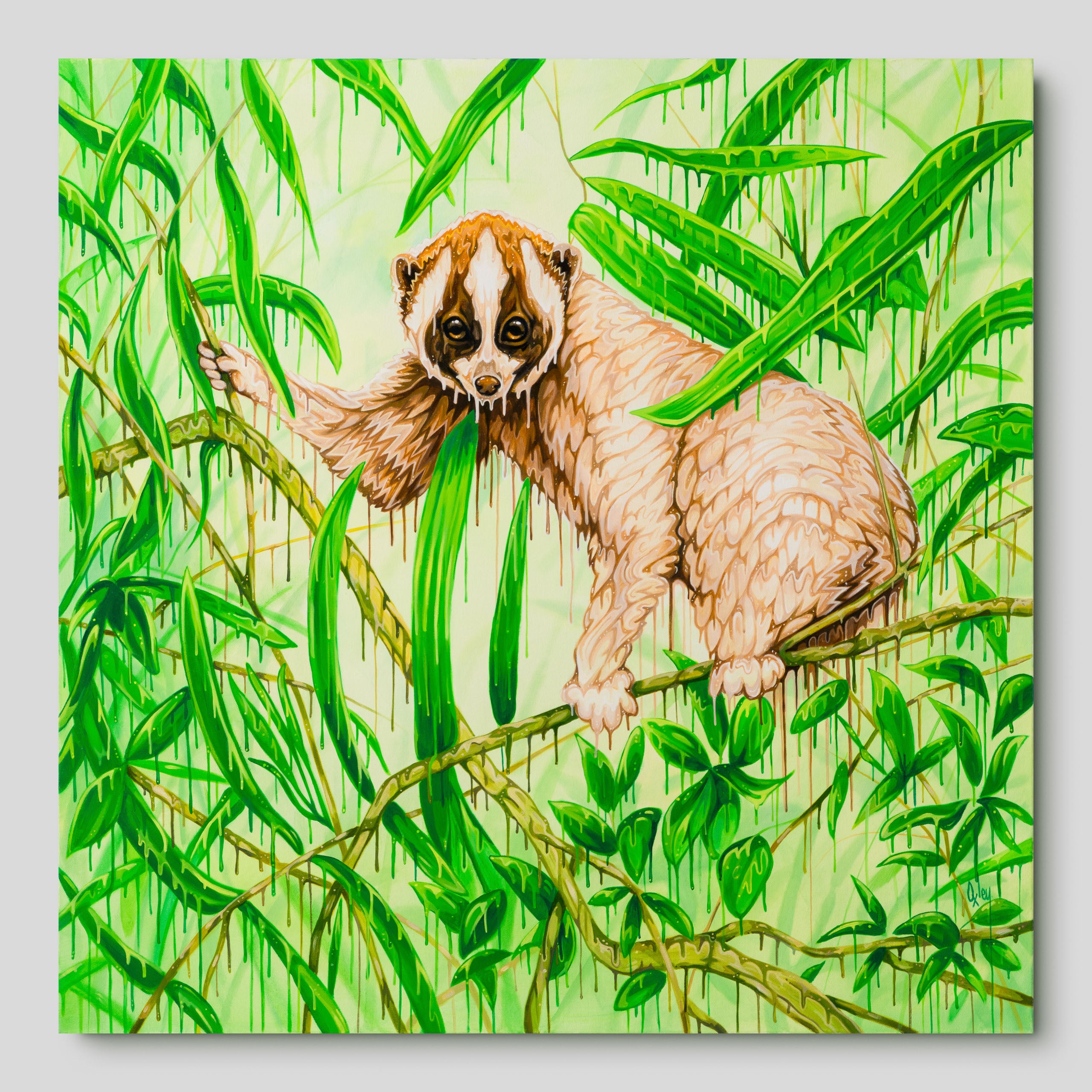 BOX ORI WWL 33207 Manyana 1